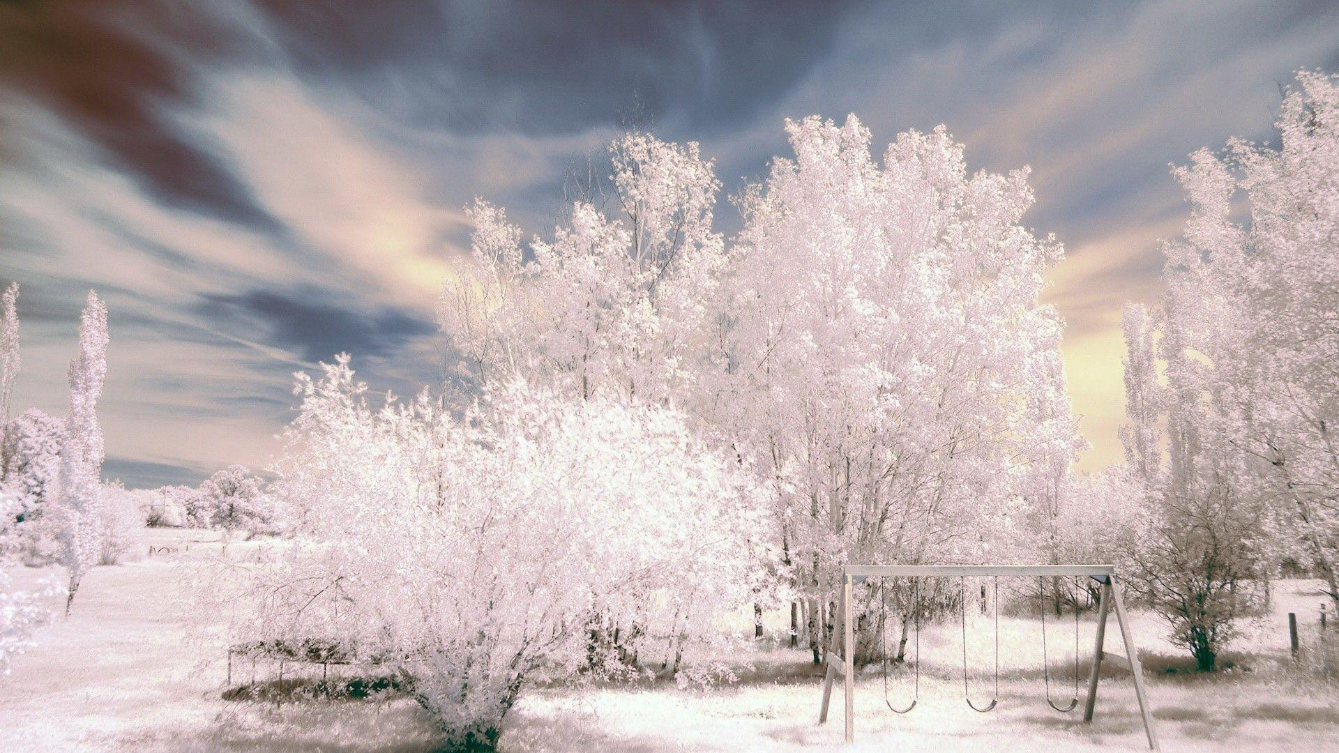 landscapes nature winter (season) trees HDR photography