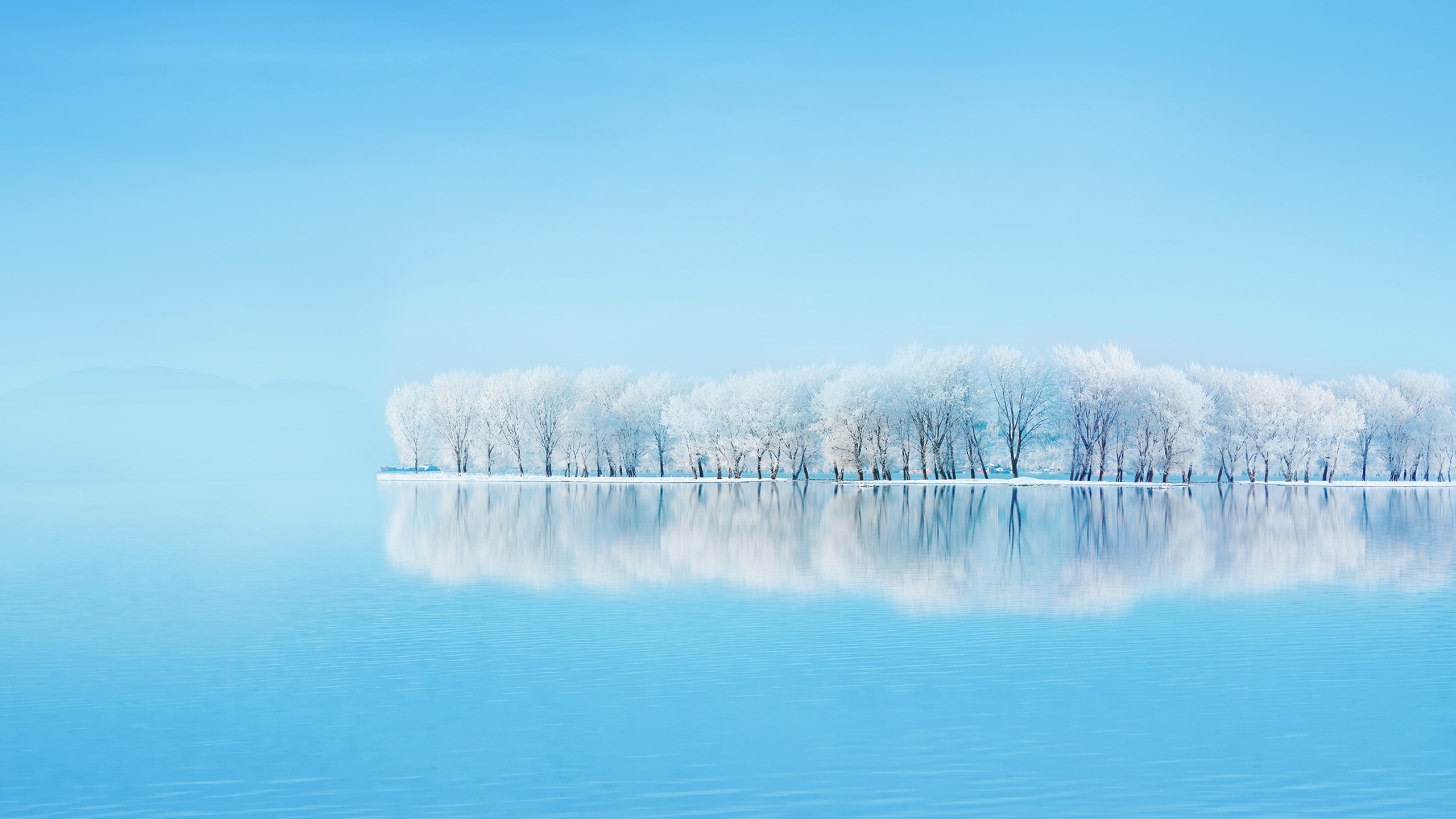 Frosted Trees Reflections Wallpaper