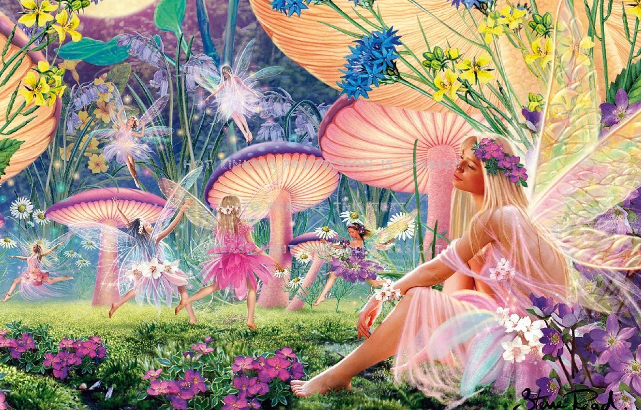 village of the fairies lovely fairy digital