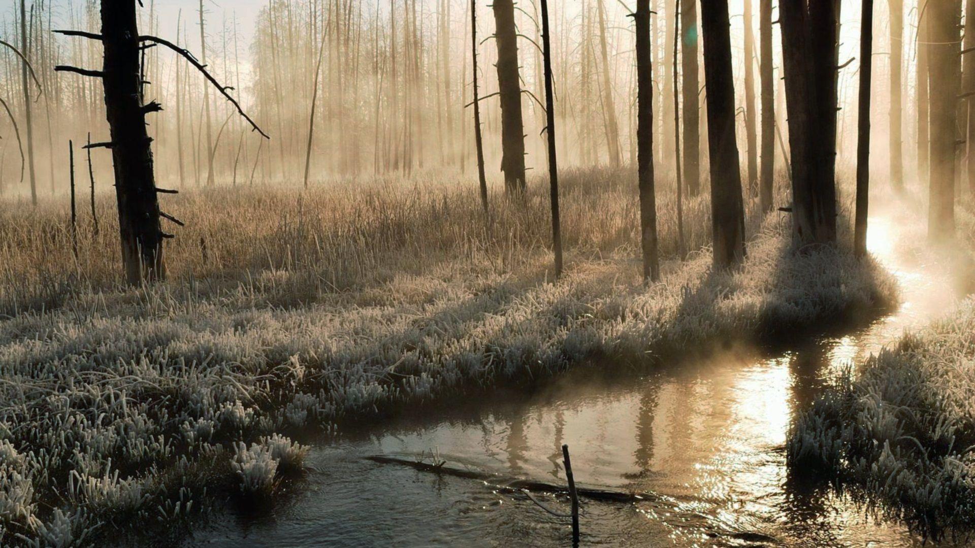 Frosted Landscape Wallpapers - Wallpaper Cave