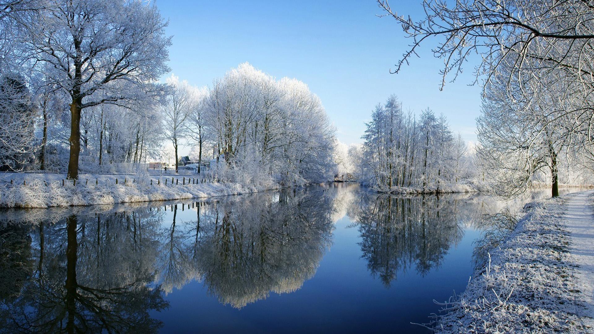 wallpaper Winter, river, trees, frost, snow, pictureque scenery