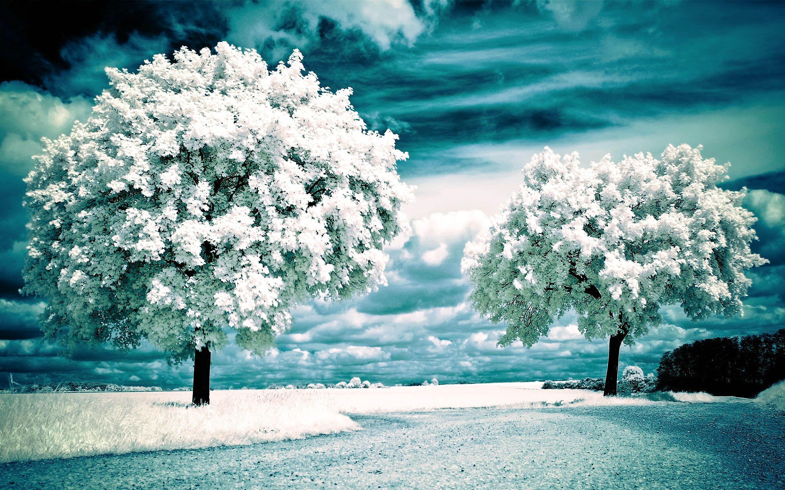 Beautiful Hd Scenery Wallpaper Hd Scenery. Winter Landscape