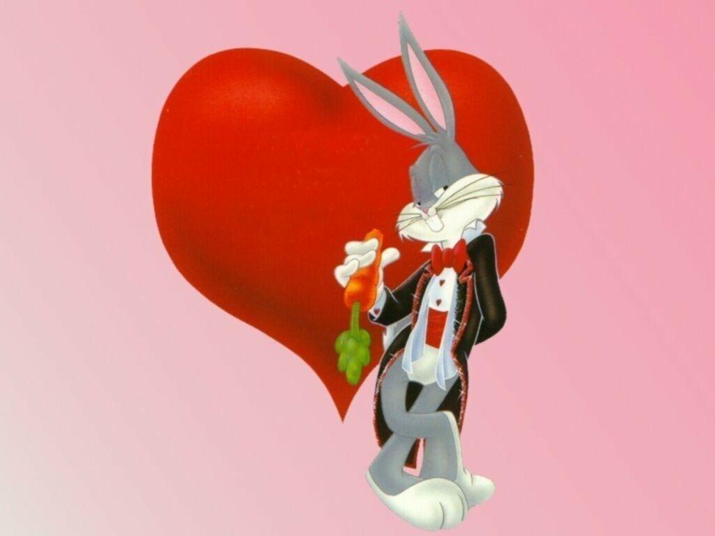 Valentine bunny pictures
