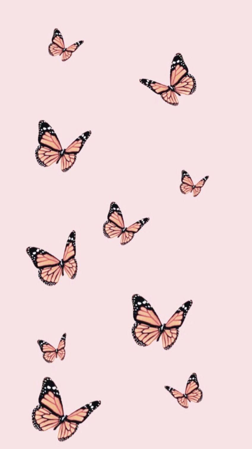 Phone Wallpaper. Butterfly wallpaper