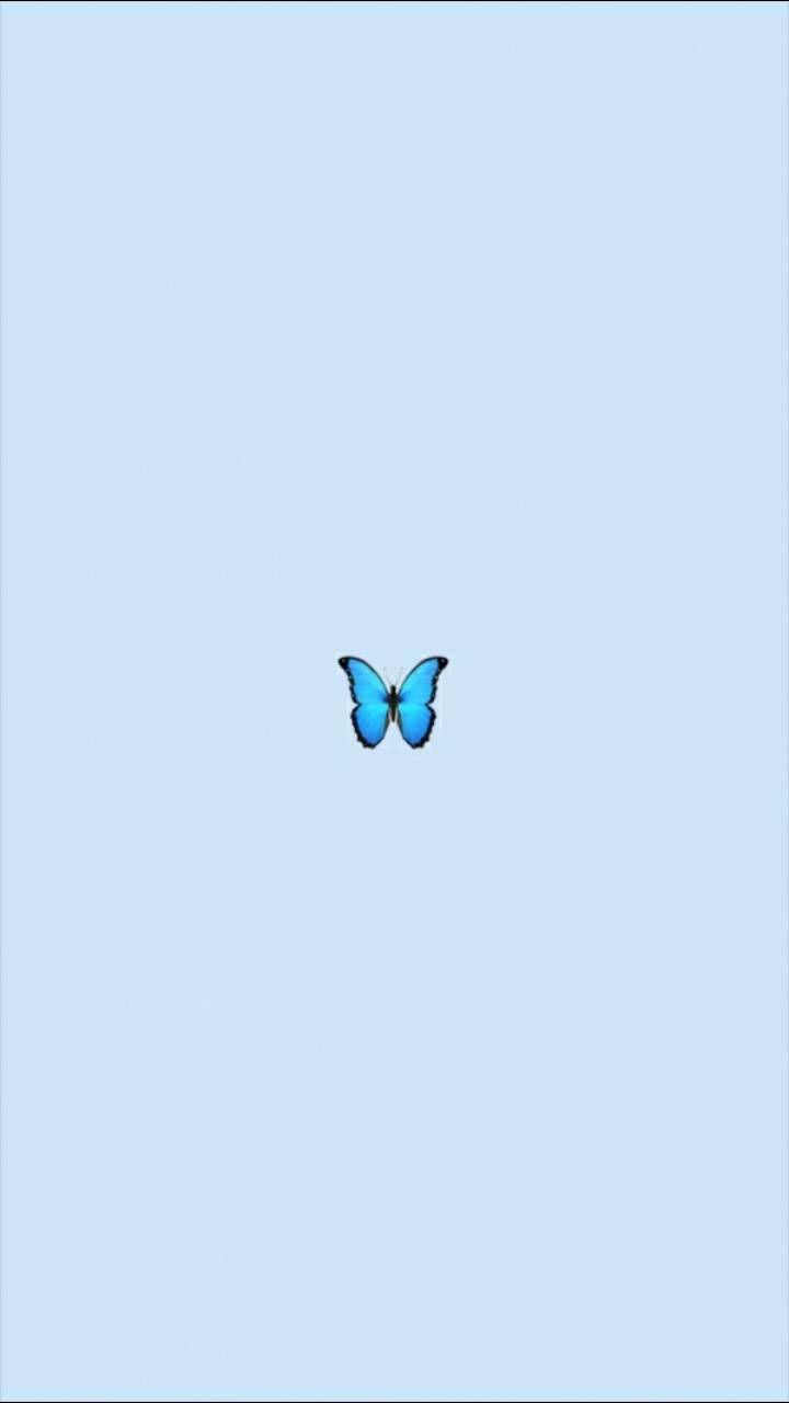 Aesthetic Butterfly Wallpapers Wallpaper Cave