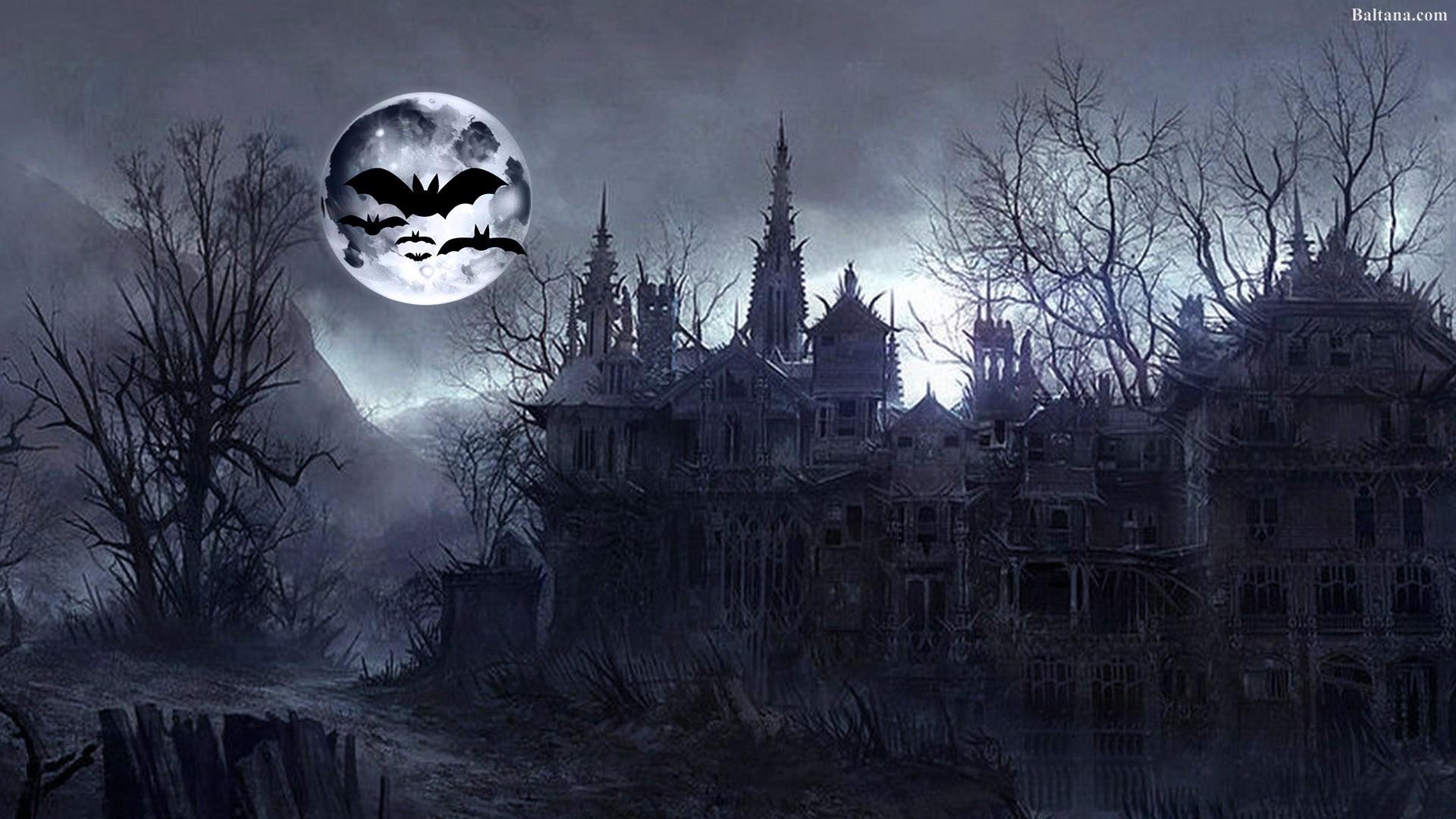 Bat Wallpaper for Computer