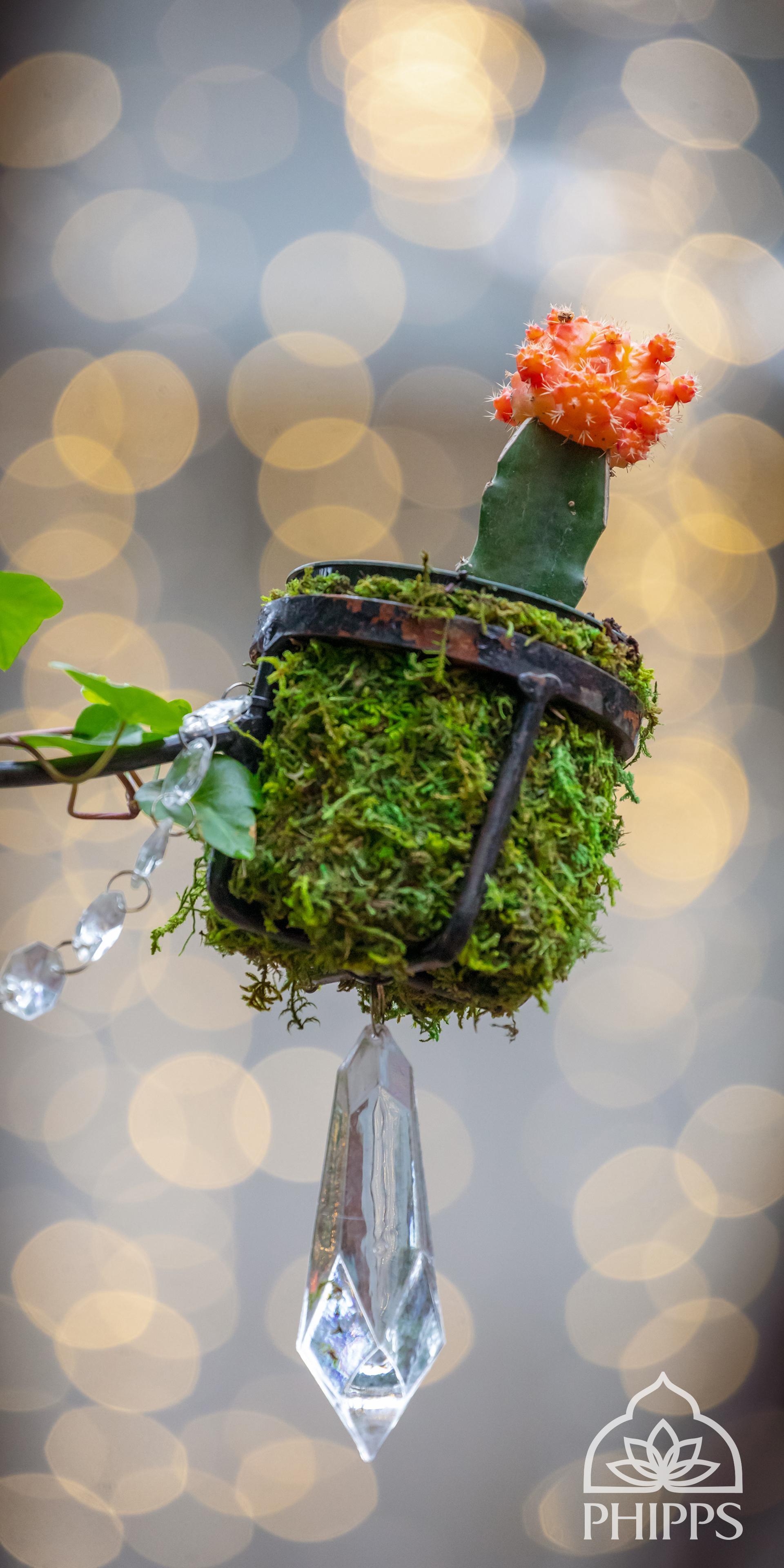 Mobile Wallpaper Design Wallpaper