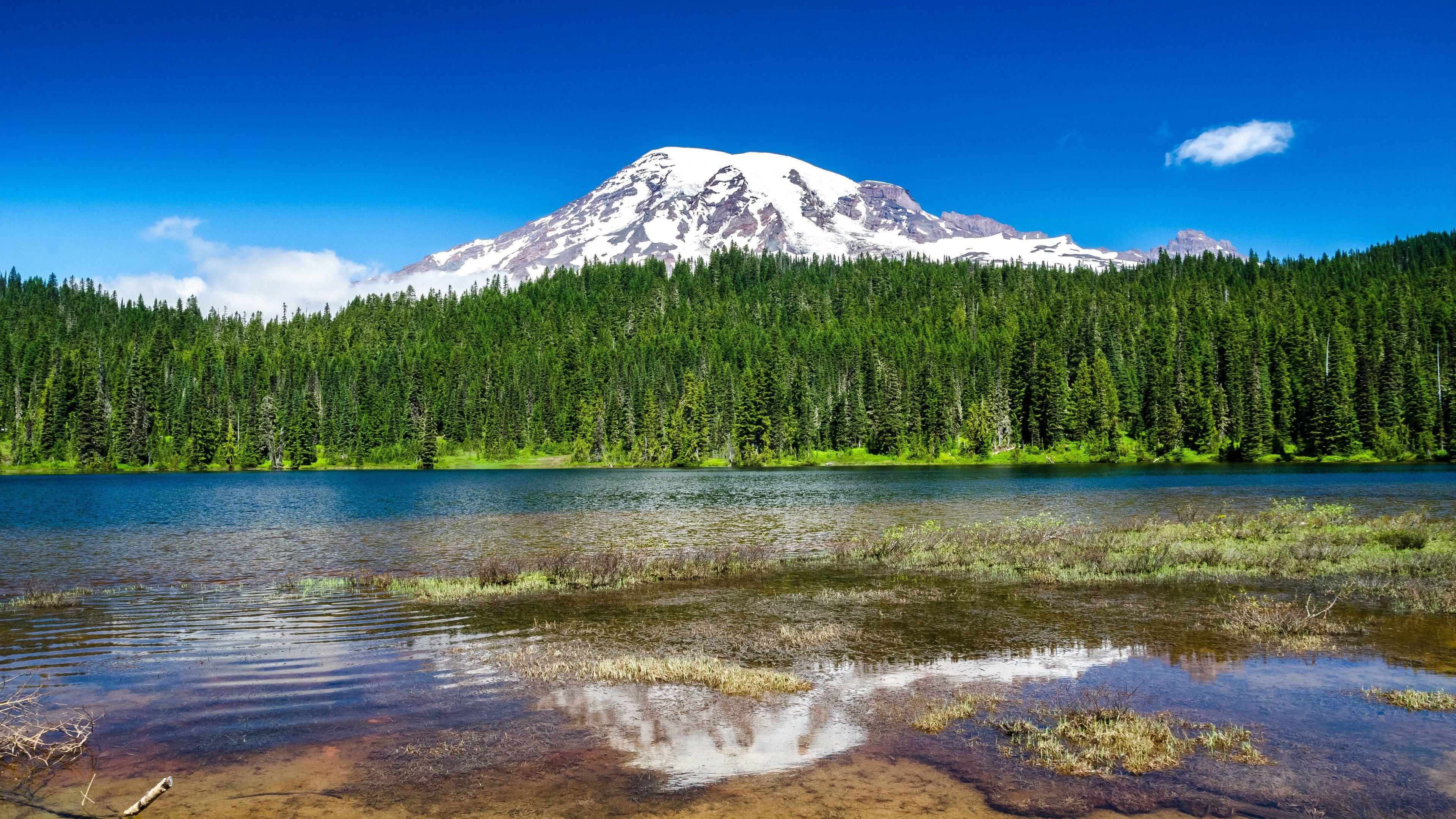 mountain lake with blue sky wallpaper. Mount rainier national