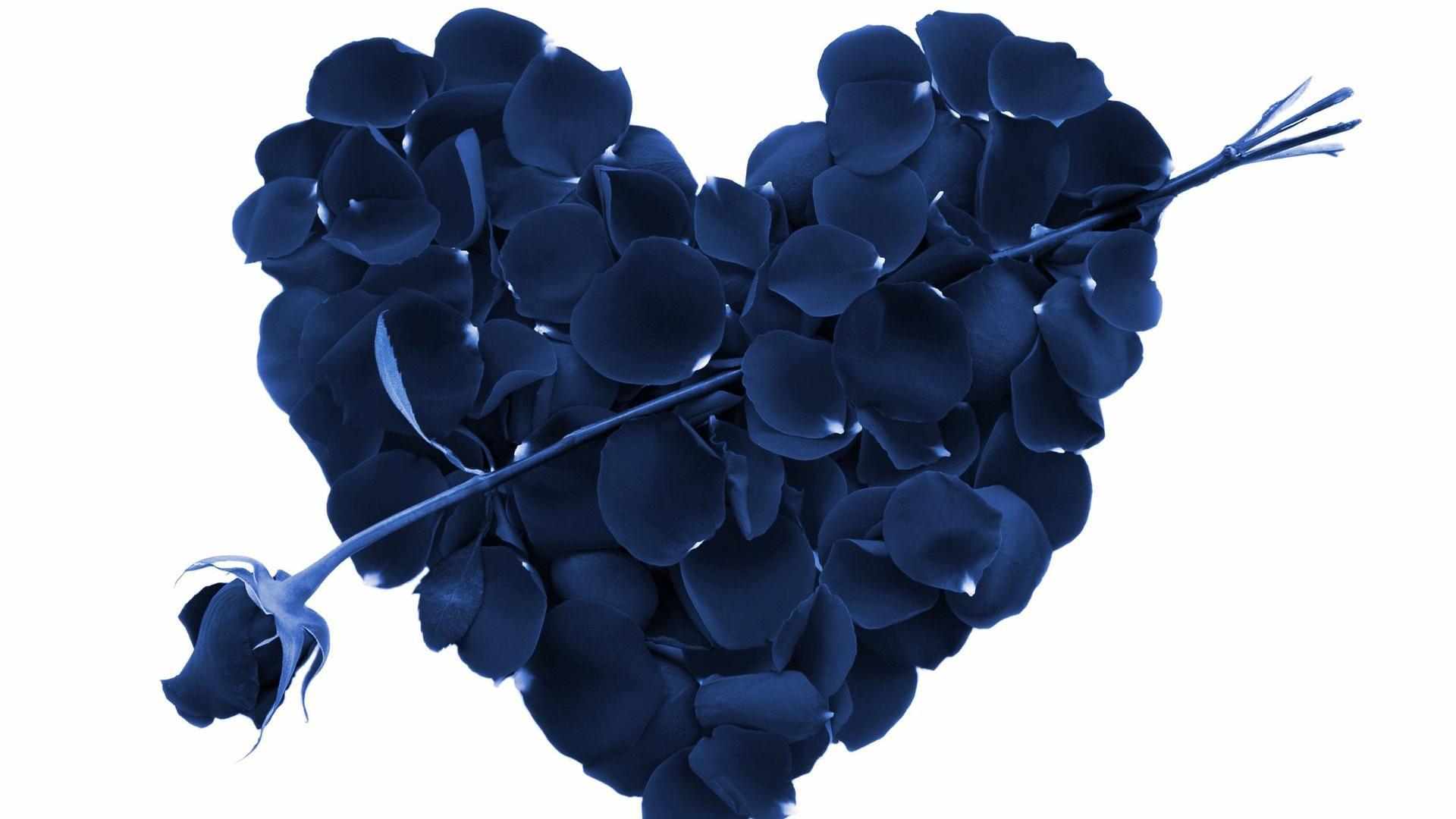 Blue Rose And A Heart Made Of Rose Petals Wallpaper