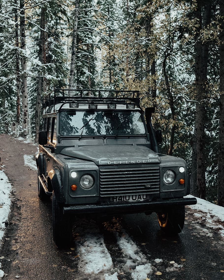 HD wallpaper: vehicle surround with trees, winter, land rover