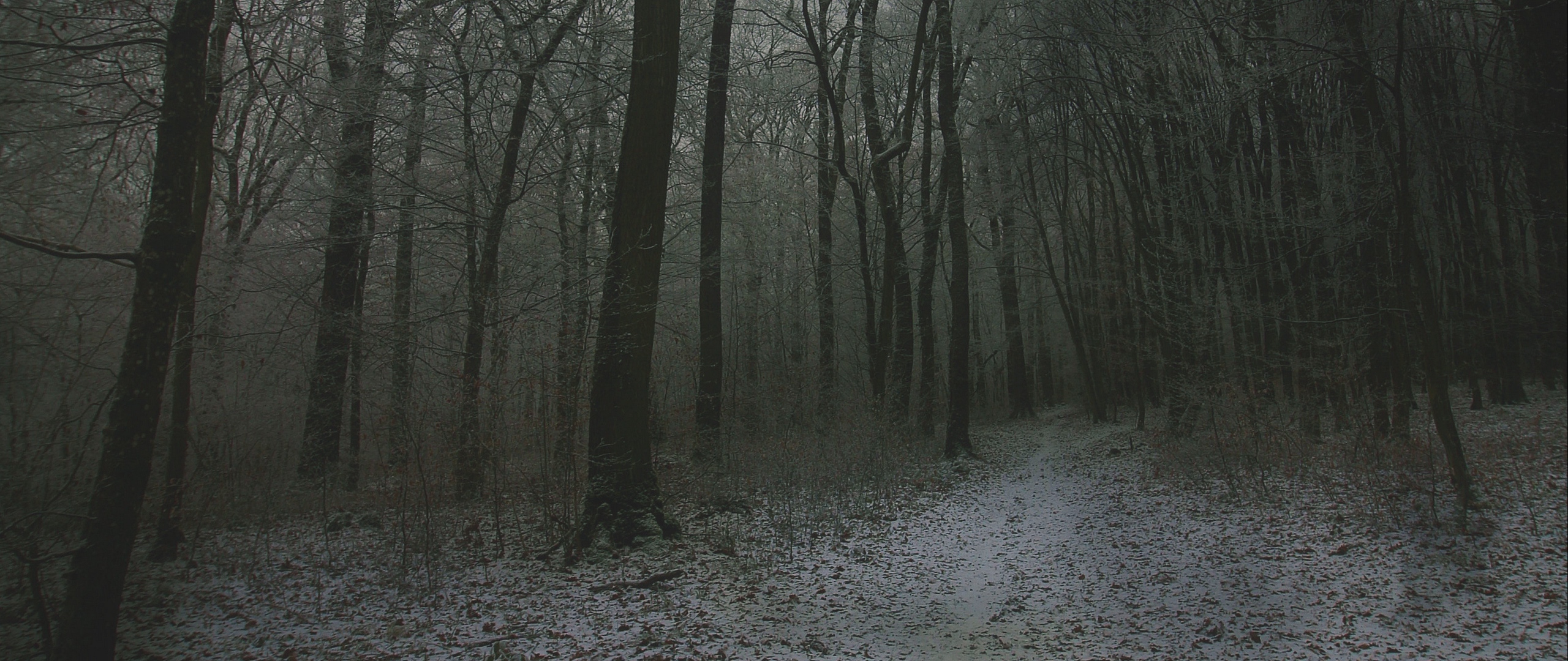 Download wallpaper 2560x1080 fog, forest, path, snow, autumn