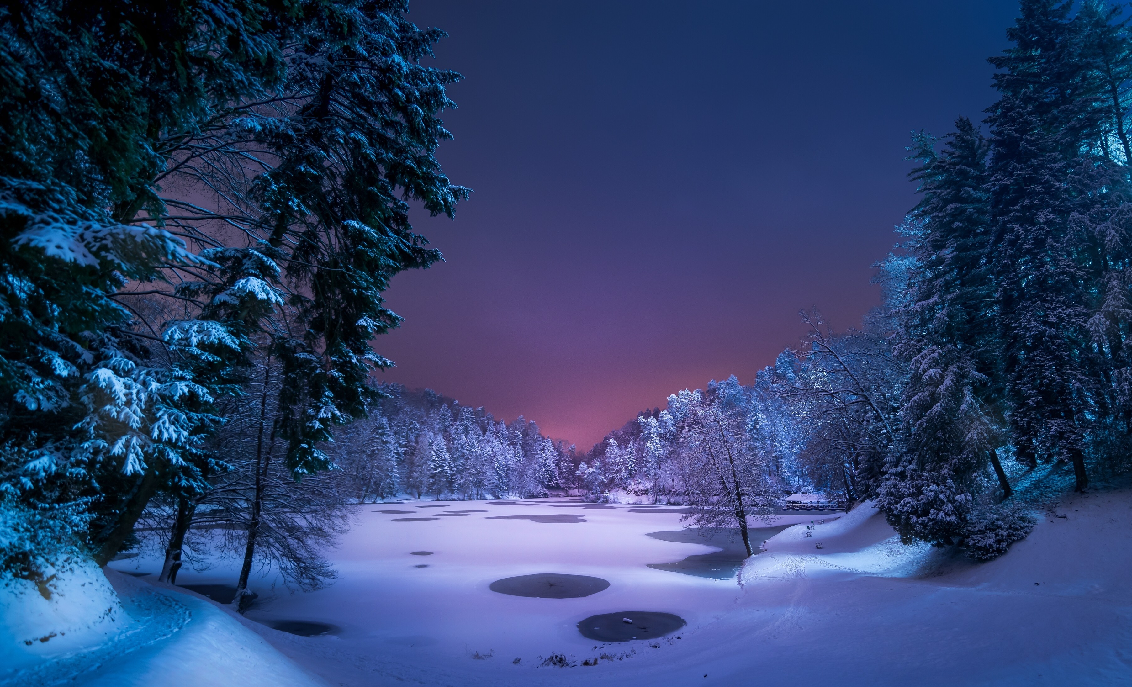 snowy forest path at night