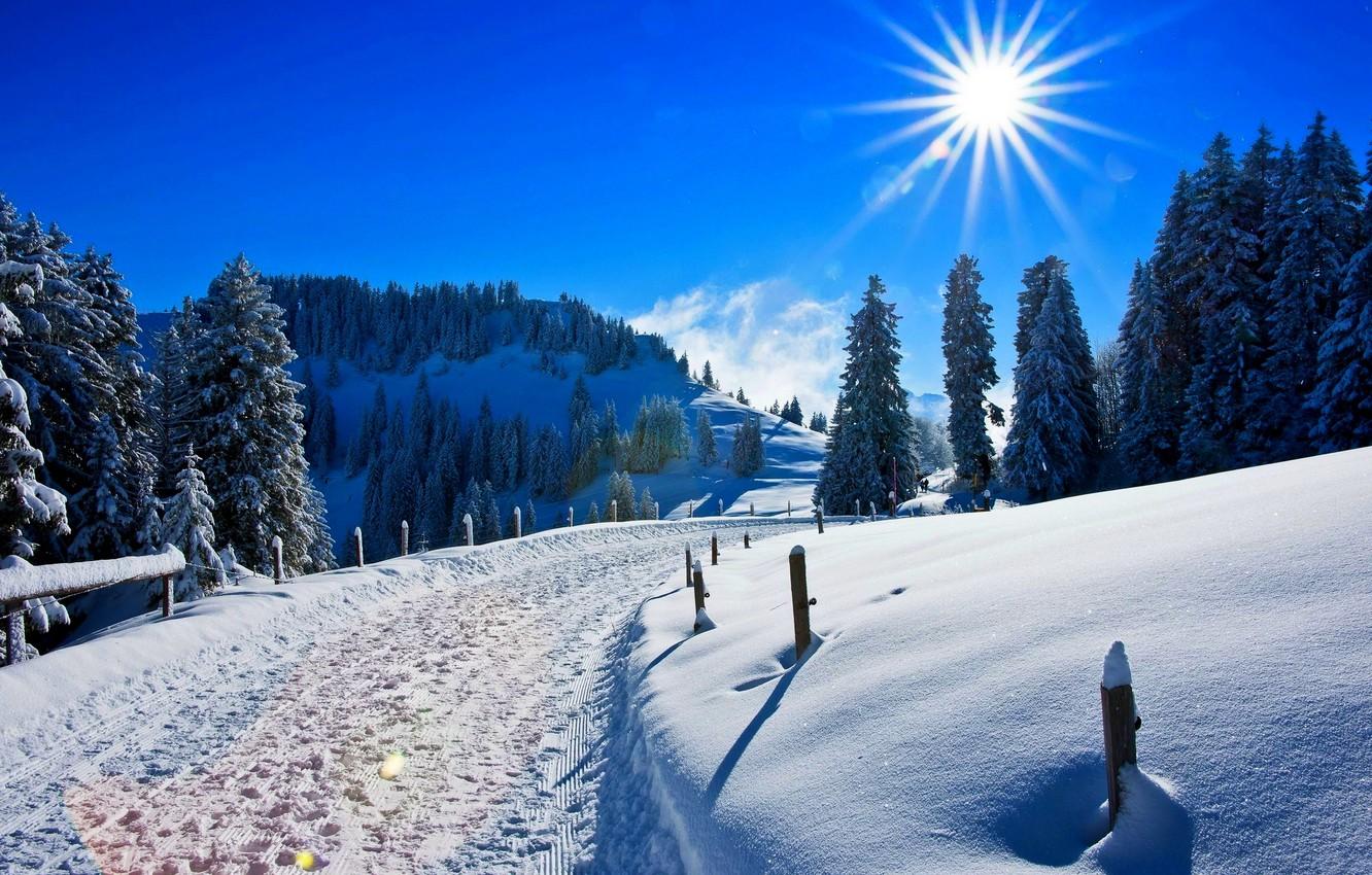 White Forest Path Snow Winter Sunlight Wallpapers - Wallpaper Cave