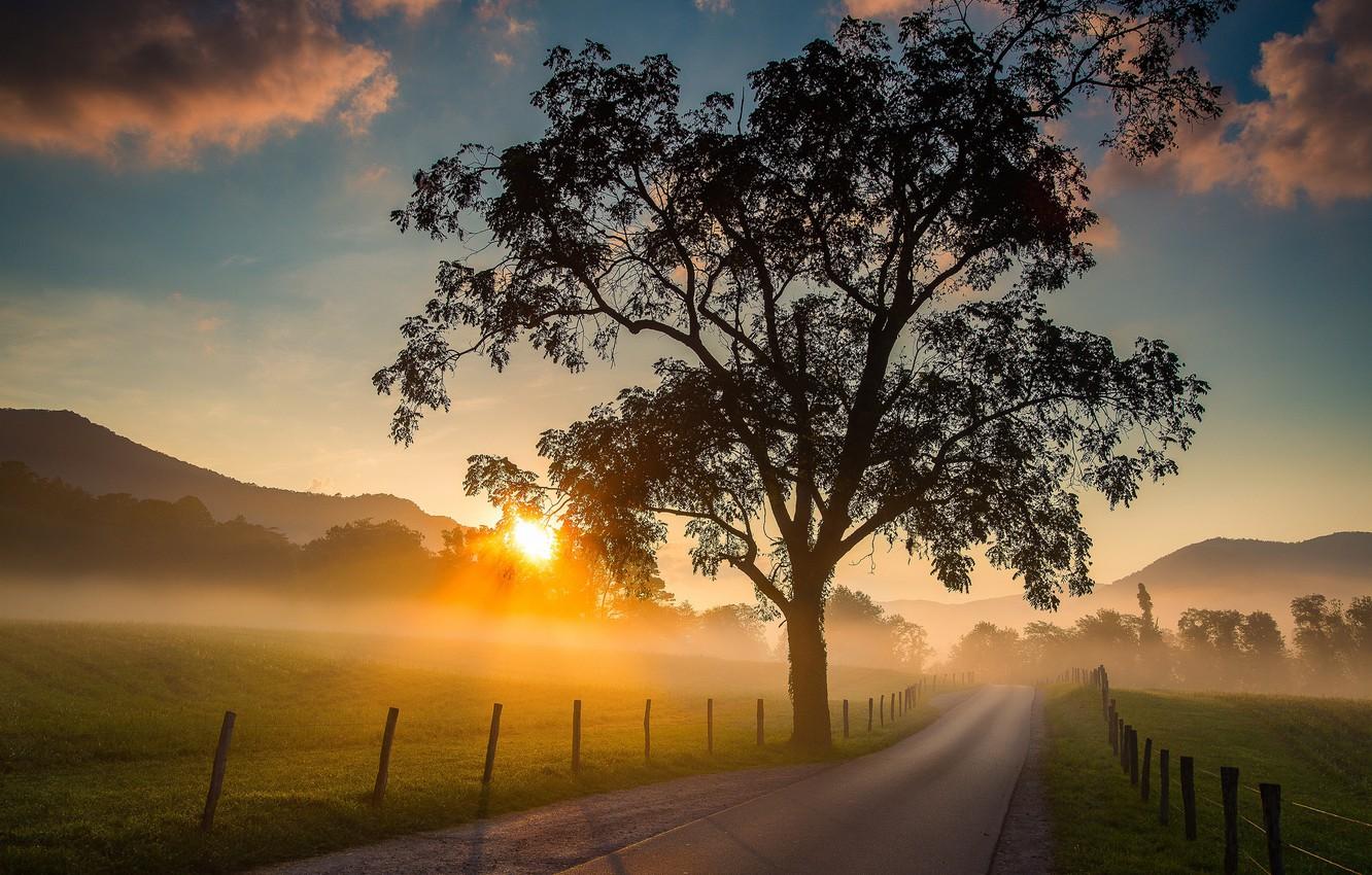 Wallpaper road, sunrise, tree, dawn, field, morning, Tennessee