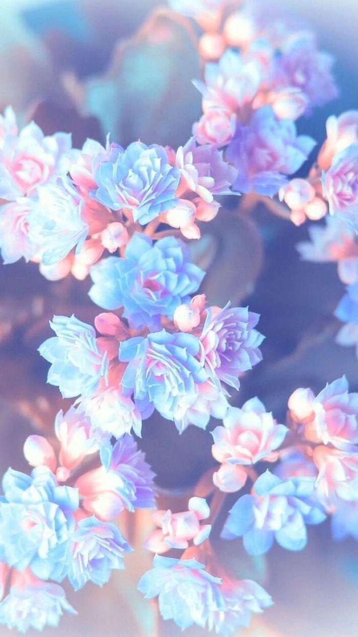 purple pink and blue flowers, blurred background, floral phone wallpaper, happy spring. Blue flower wallpaper, iPhone wallpaper vintage, Cute wallpaper for phone