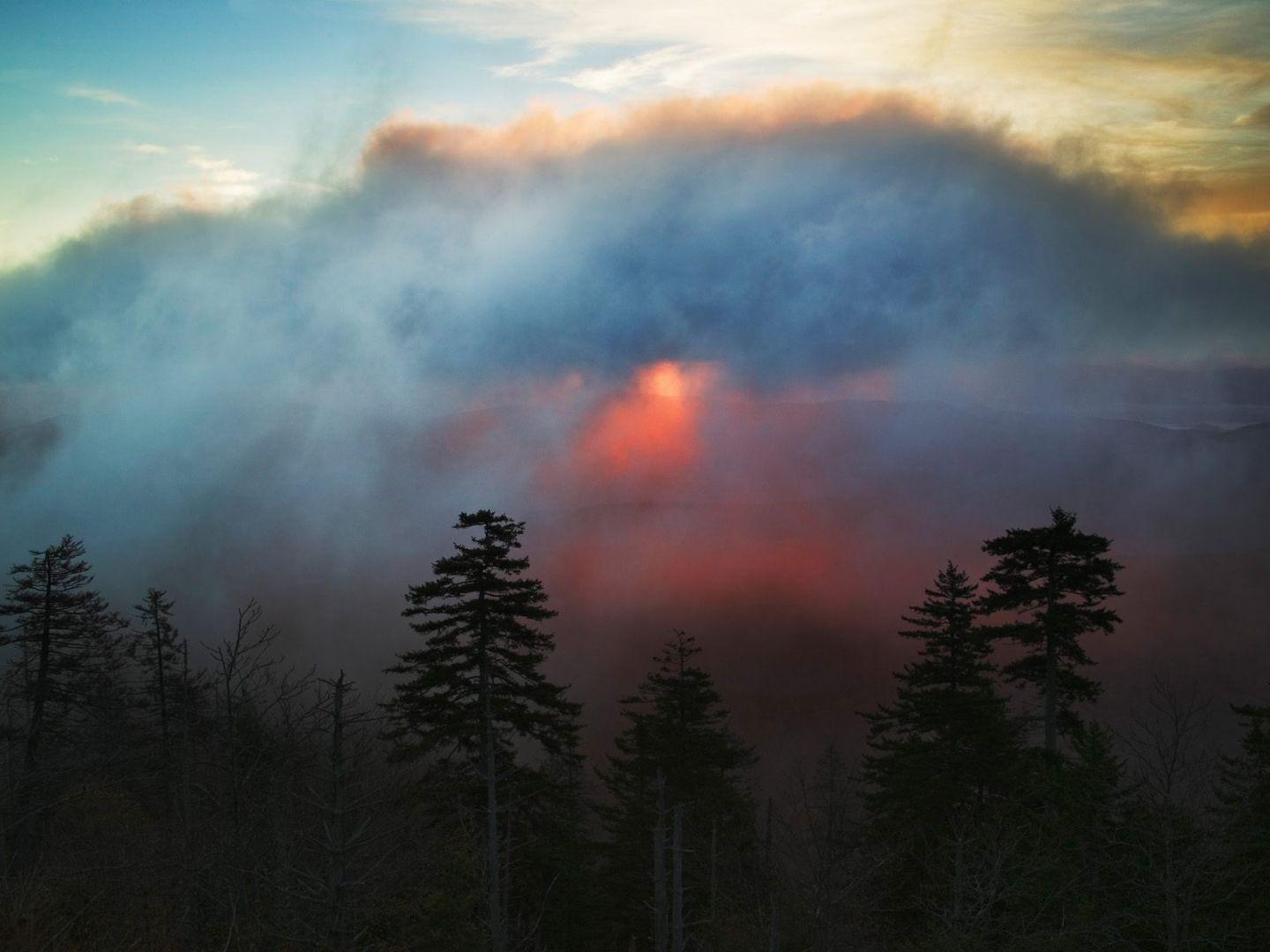 Nature: Foggy Sunrise From Clingmans Dome, Great Smoky Mountains