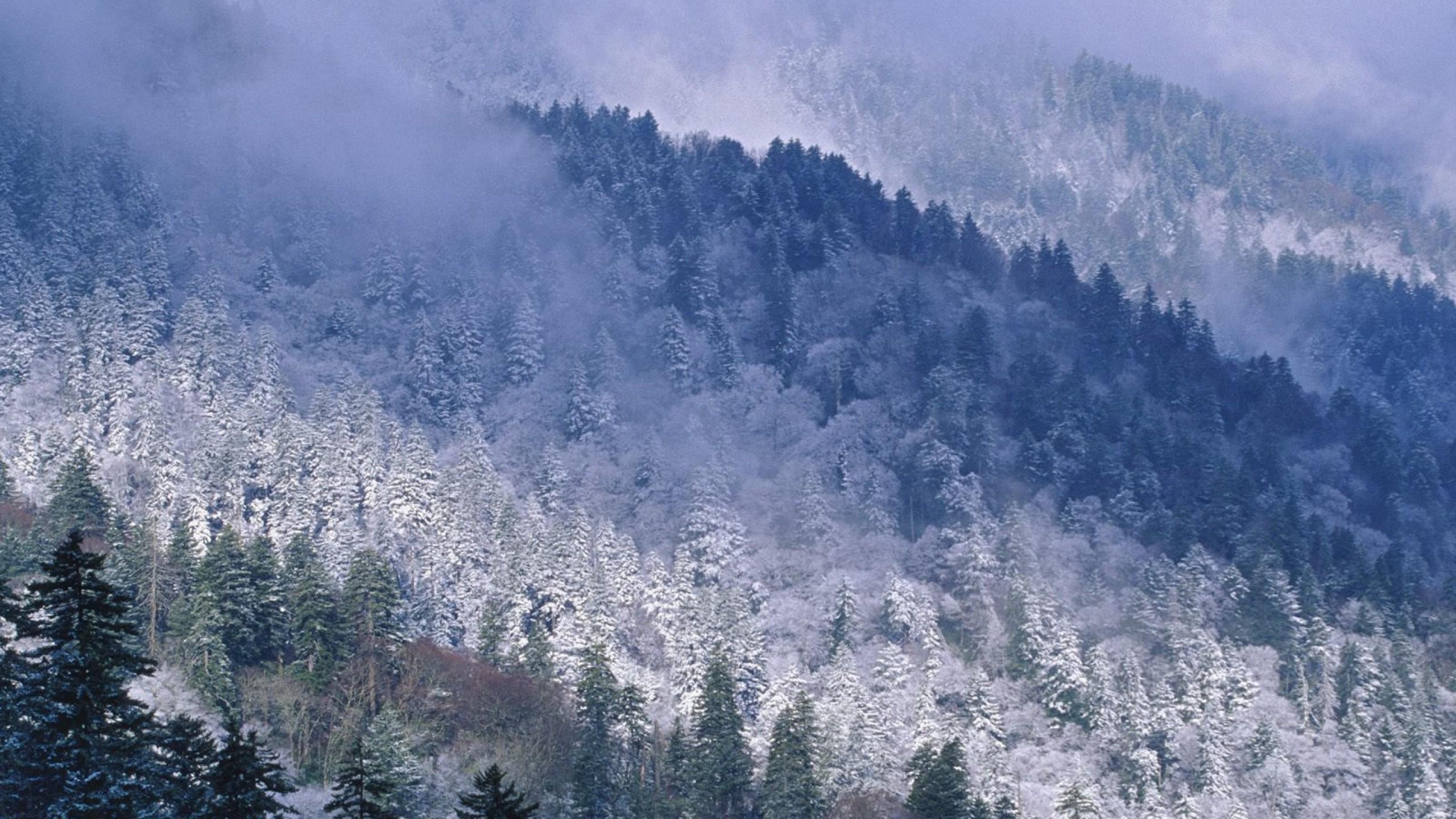 Smoky Mountain Winter Scenes Wallpaper