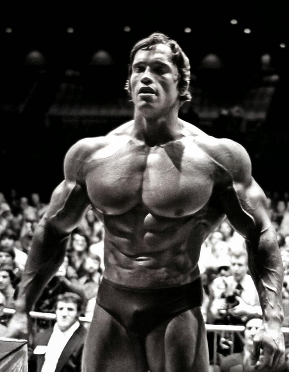 Arnold HD Wallpaper, Picture