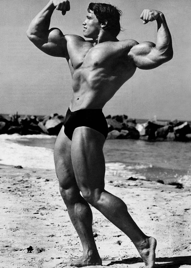 Arnold Schwarzenegger Son Bodybuilding Wallpaper 3
