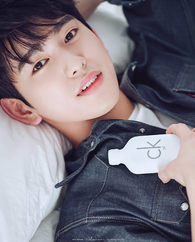 Jinyoung Got7 Wallpaper & Background Download