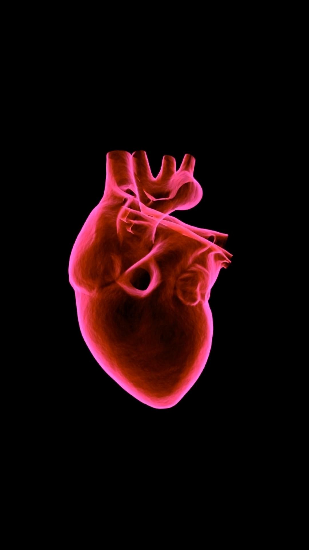 3D Heart Art Muscular Organ HD Wallpaper