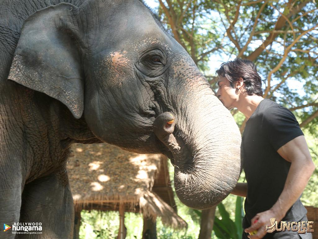 Junglee 2019 Wallpaper. Junglee 15