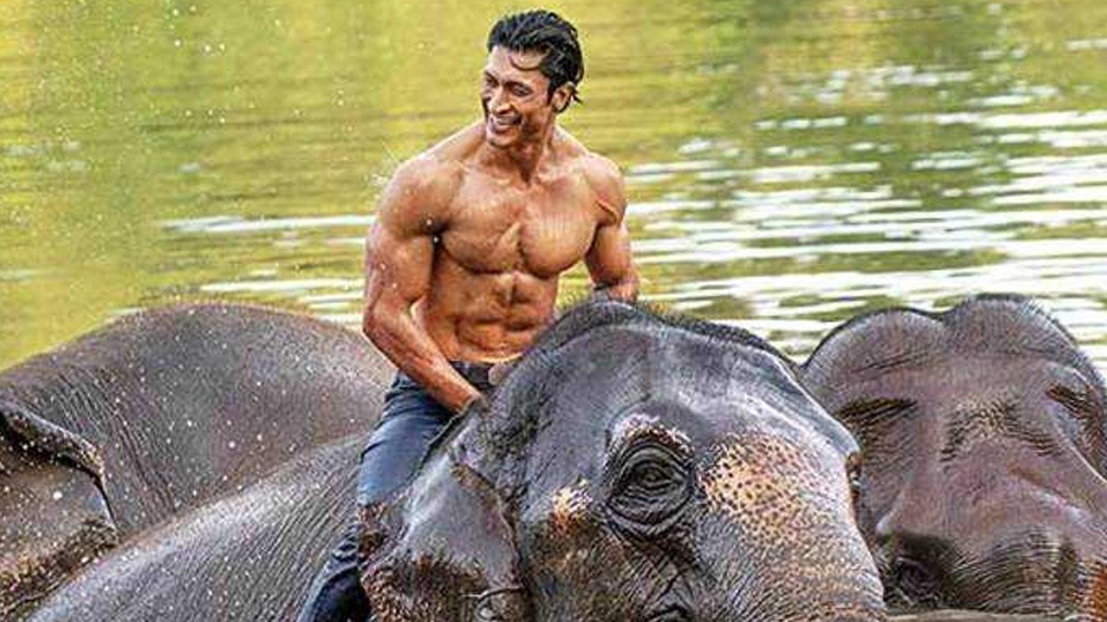 Public Review: Vidyut Jammwal Starrer 'Junglee' Better Ahmedabad