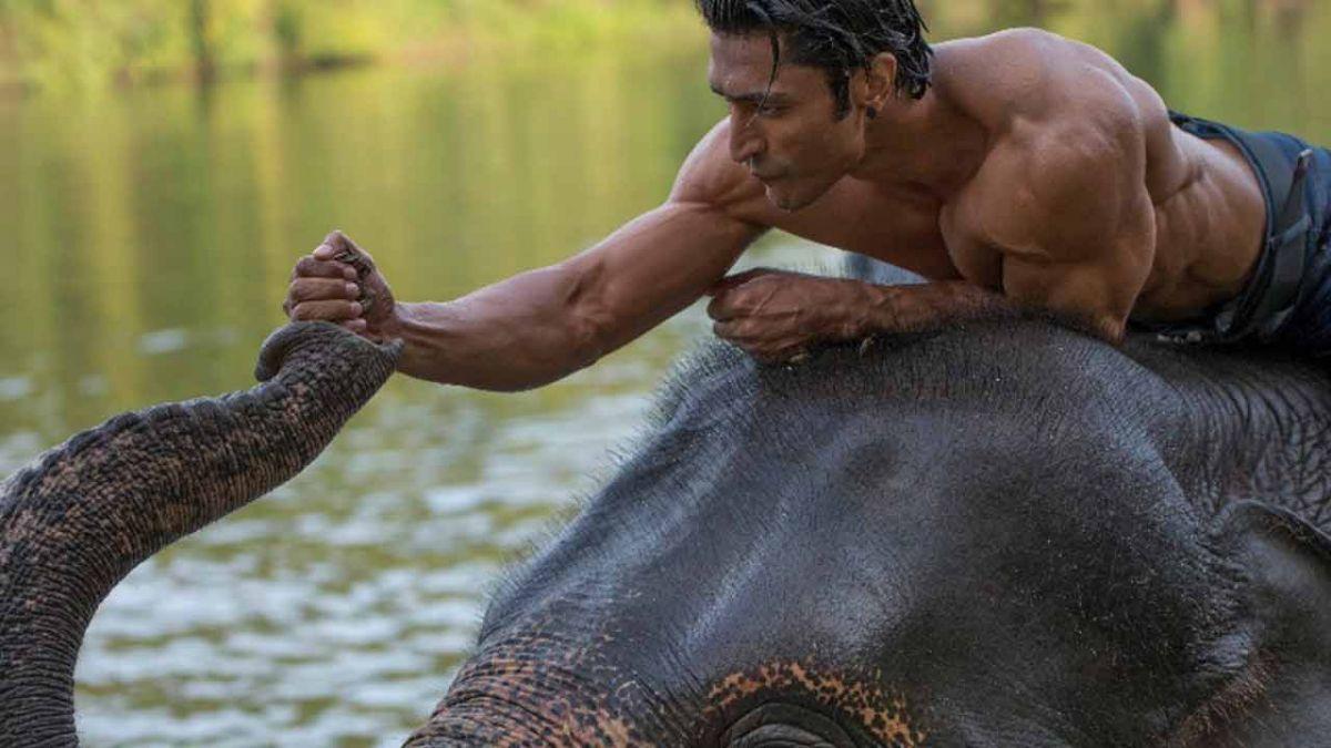 Junglee Box Office Collection Day 1: Vidyut Jammwal and Chuck