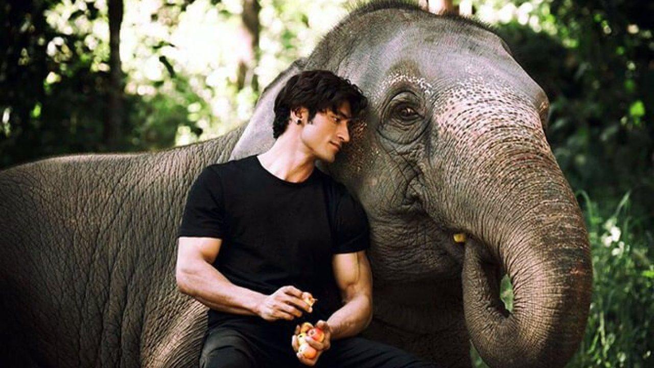 Junglee Full movie leaked online