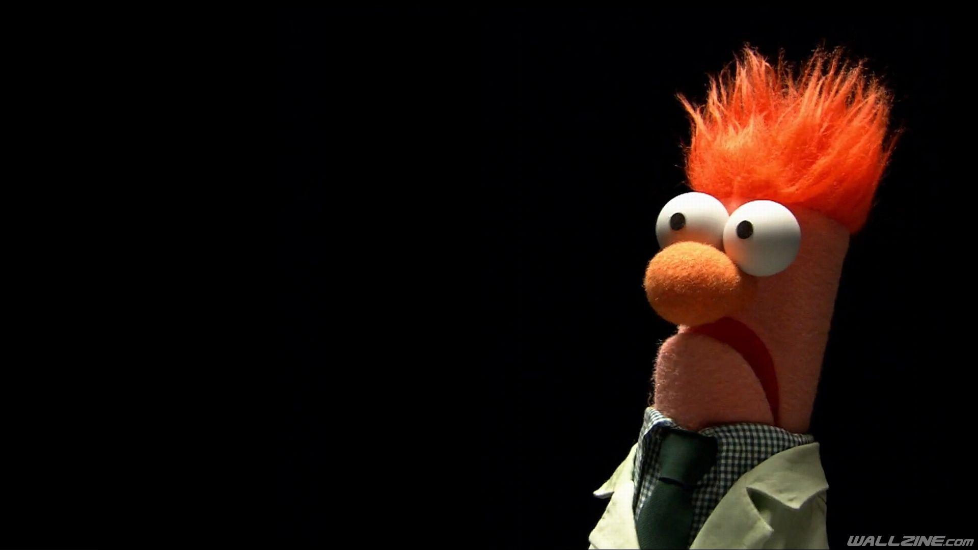 Funny Scared Wallpaper. The muppet show, Funny wallpaper, Geek stuff