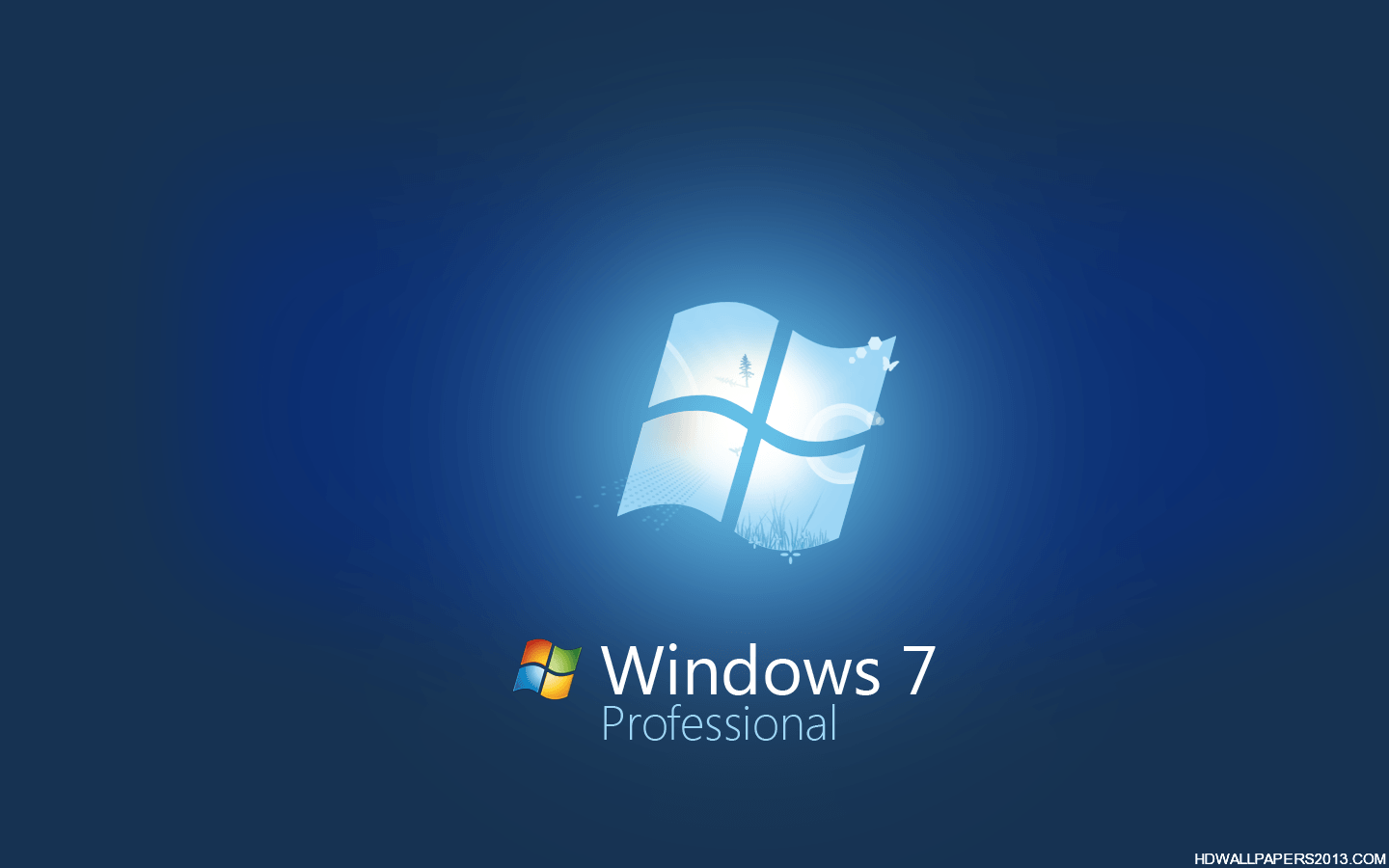 Windows 7 Professional Desktop Background