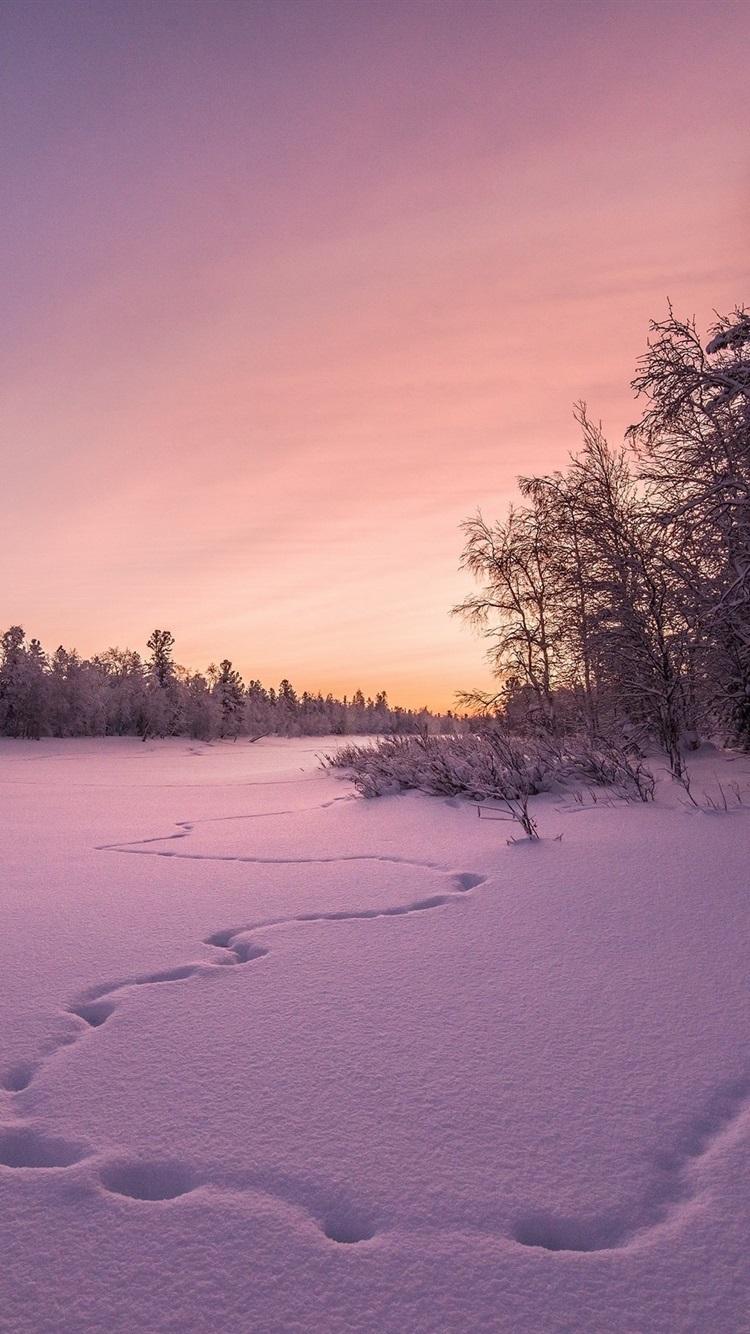 Winter, Snow, Trees, Sunset 750x1334 IPhone 8 7 6 6S Wallpaper