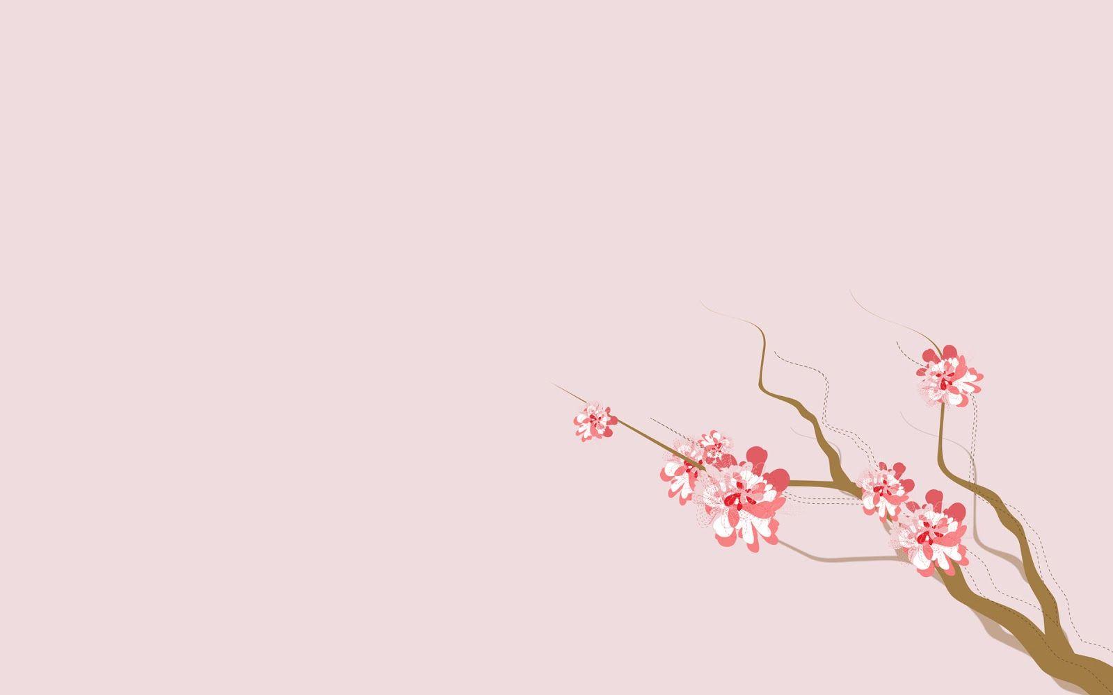 Sakura Branch Wallpaper. วอลเปเปอร์, พื้นหลัง, ซากุระ