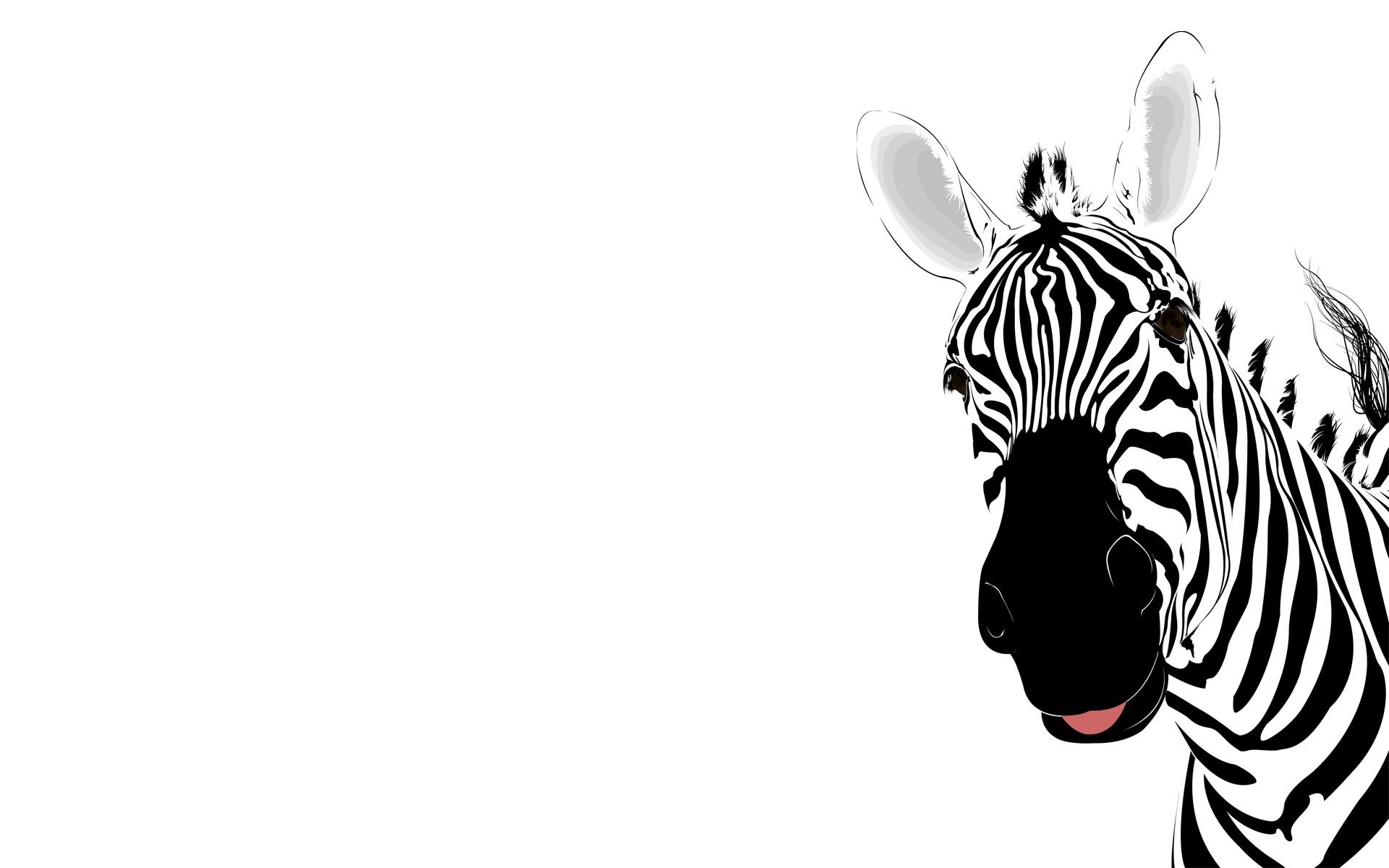 Zebra PowerPoint Background. Awsome