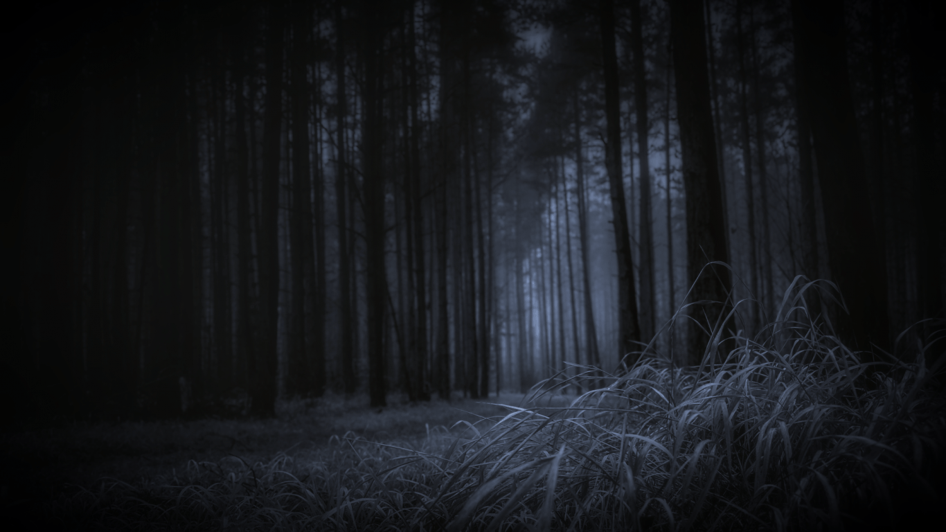 Download 1366x768 Forest, Dark Theme, Grass, Trees Wallpaper