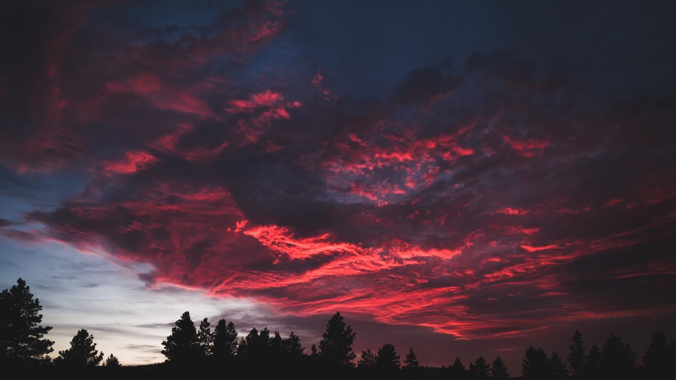 Download 1366x768 wallpaper colorful, clouds, sunset, dark, tree