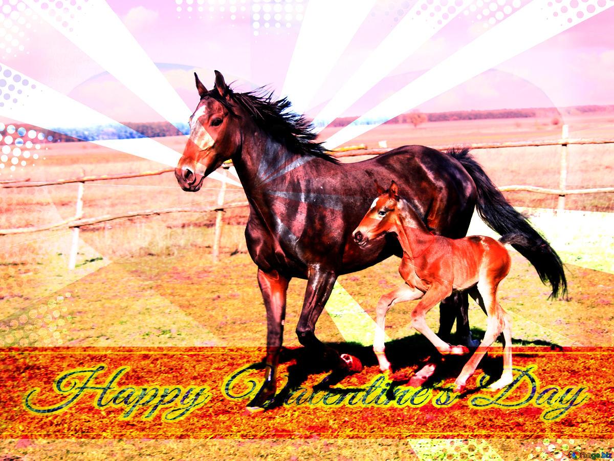 Download Free Picture Horse Greeting Happy Valentines Day On CC BY