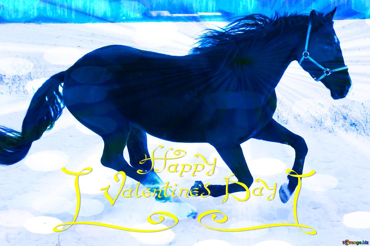 Download free picture Happy Valentines Day with Horse card on CC