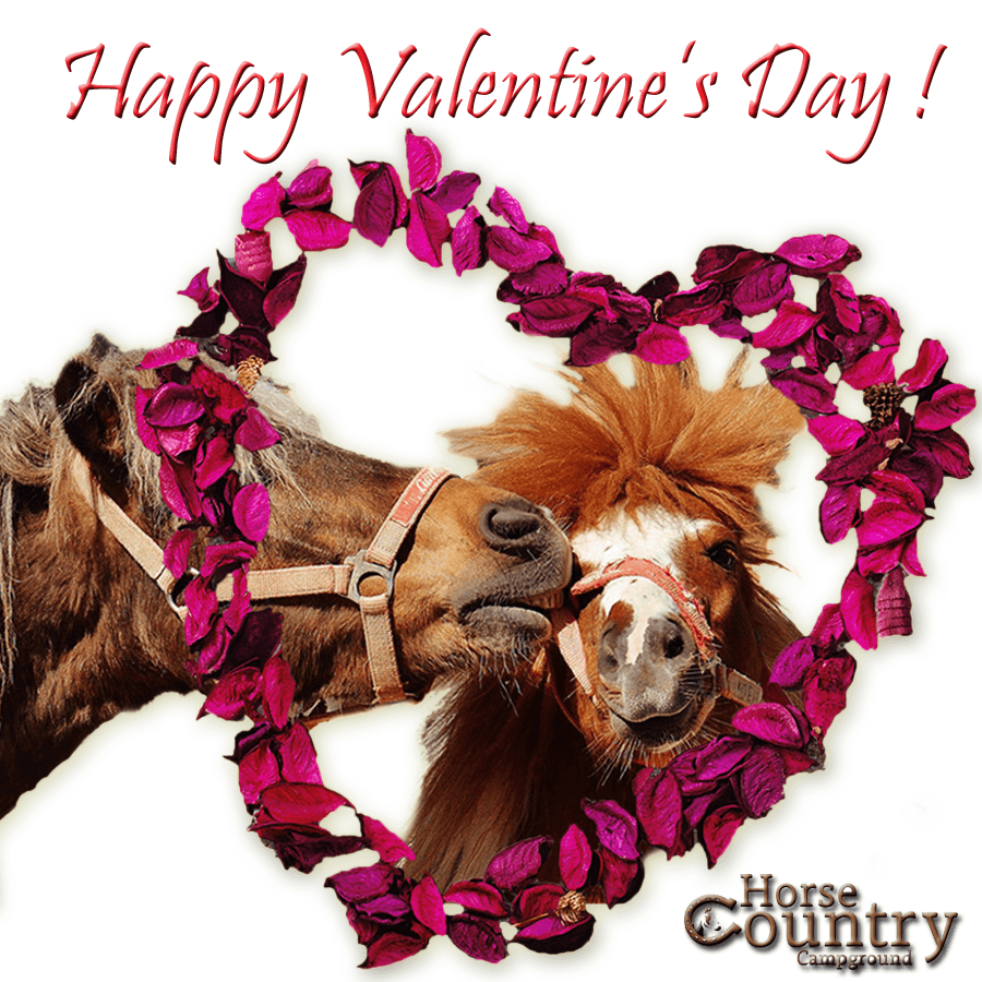 Fresh Happy Valentines Day Image With Horses