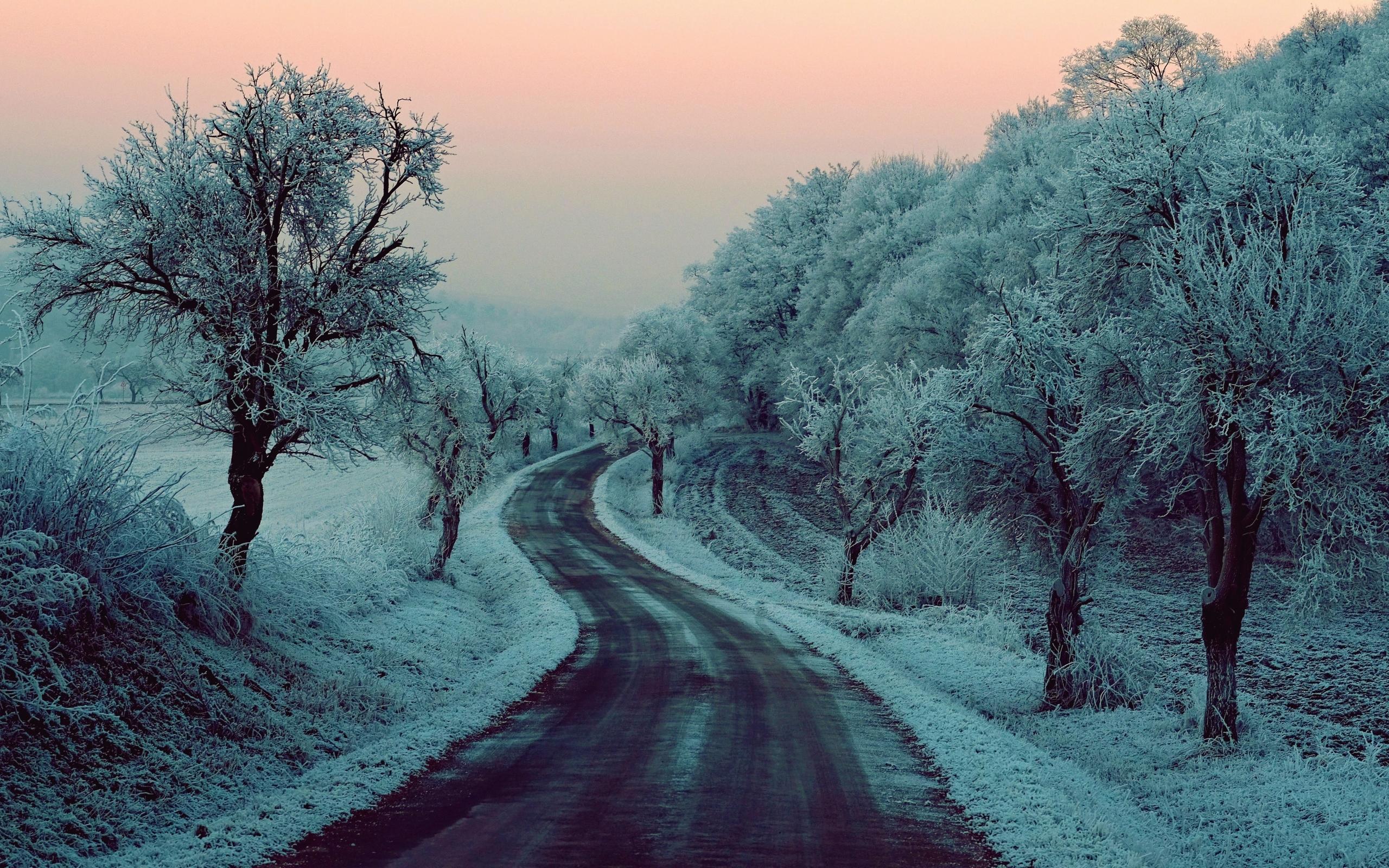 Download Wallpaper 750x1334 Road, Snow, Winter, Trees iPhone