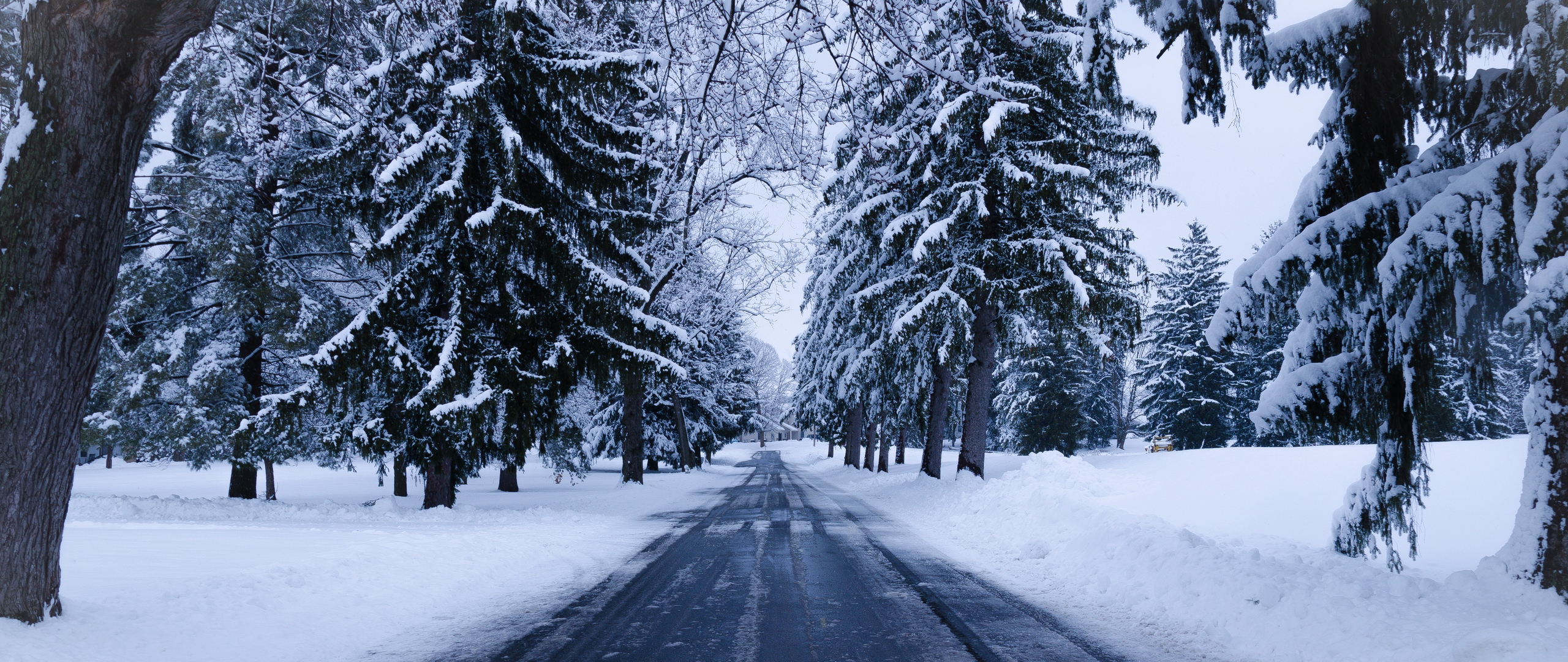 Download wallpaper 2560x1080 winter, road, snow, trees, winter