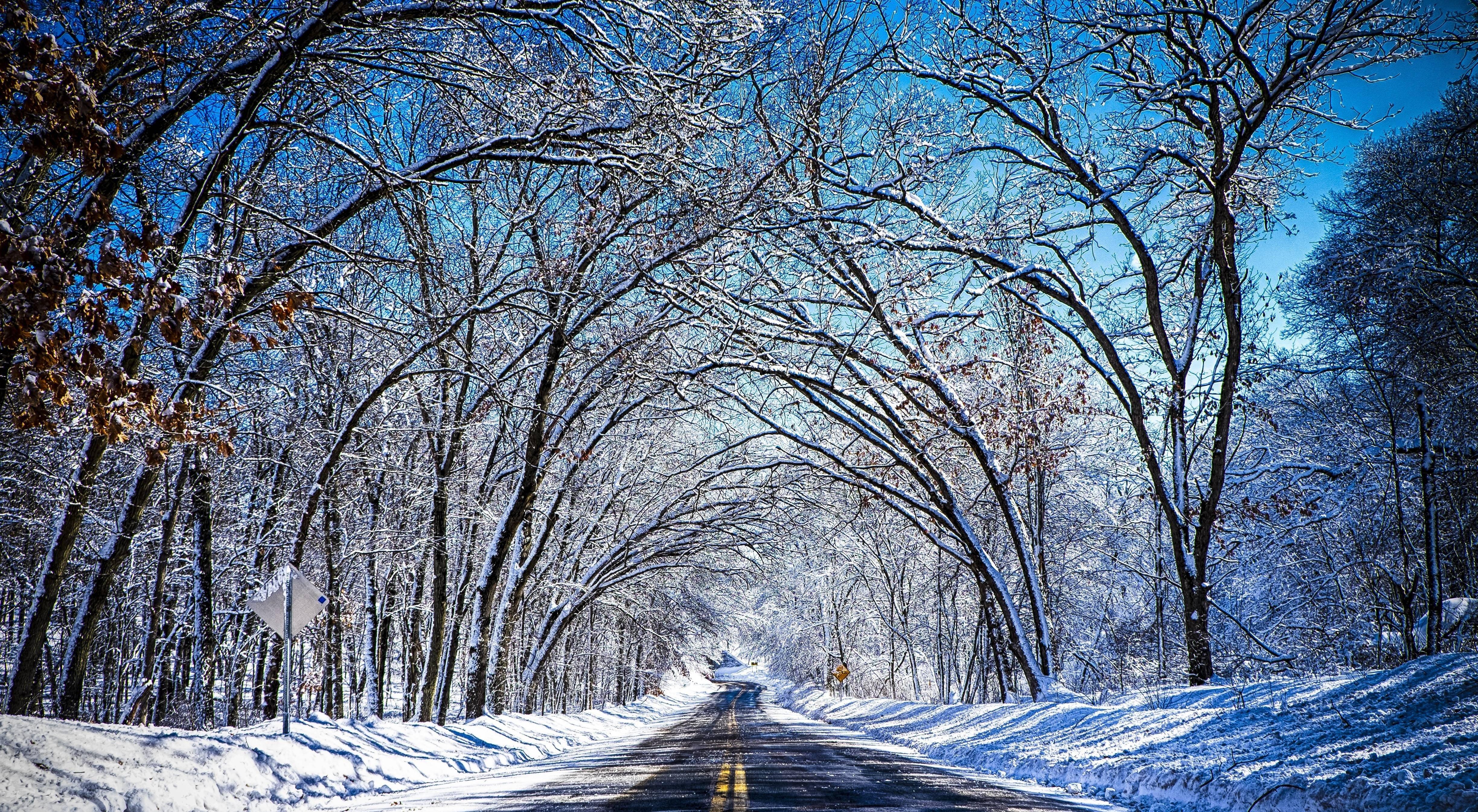 Winter road trees landscape wallpaper .wallpaperup.com