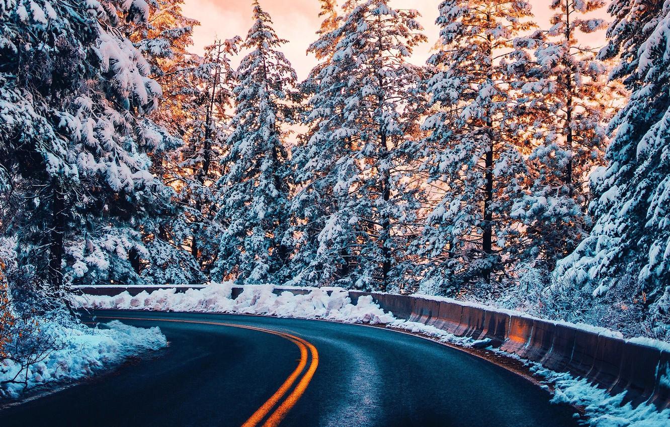 Wallpaper winter, road, forest, light, snow, trees, winter image