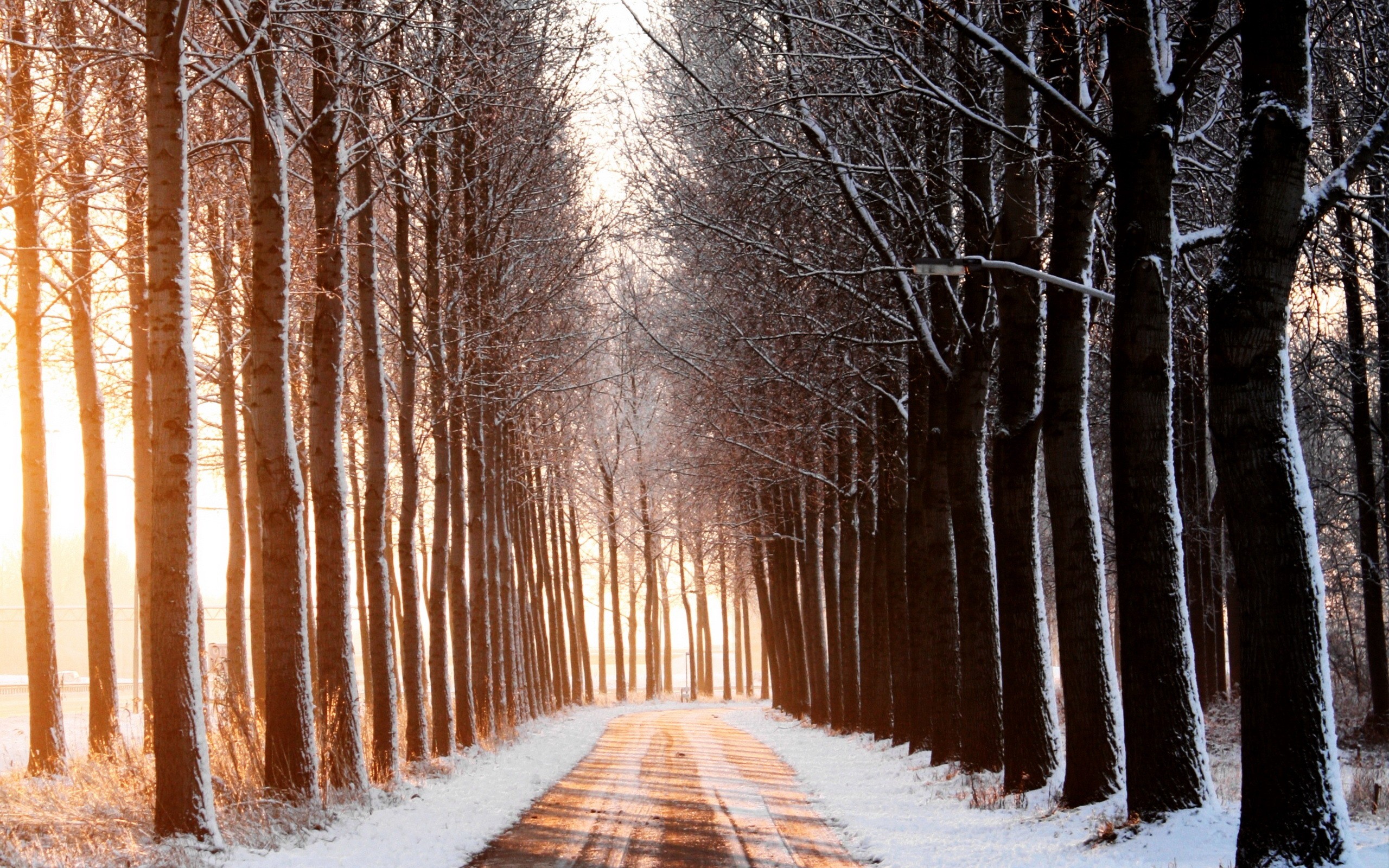Daily Wallpaper: Winter Row Road. I Like To Waste My Time