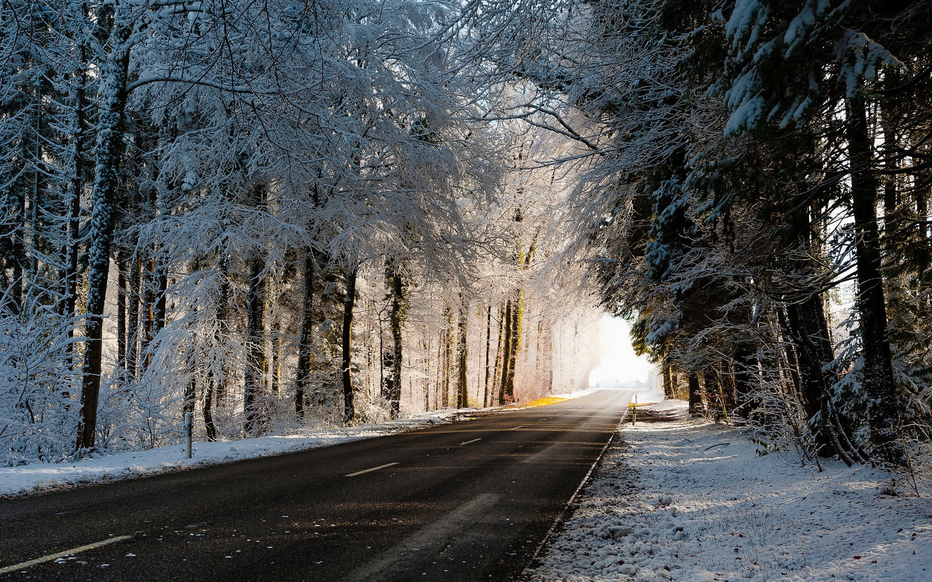 Wallpapers Winter, road, trees, snow 1920x1200 HD Picture, Image