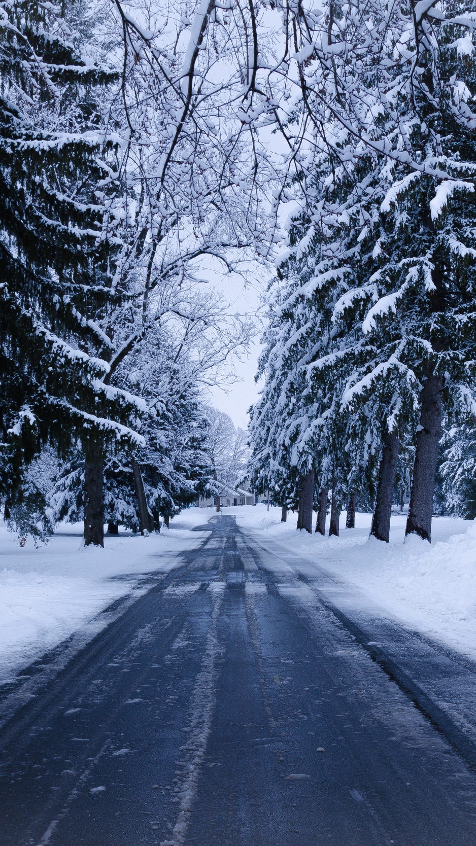 Download wallpaper 938x1668 winter, road, snow, trees, winter