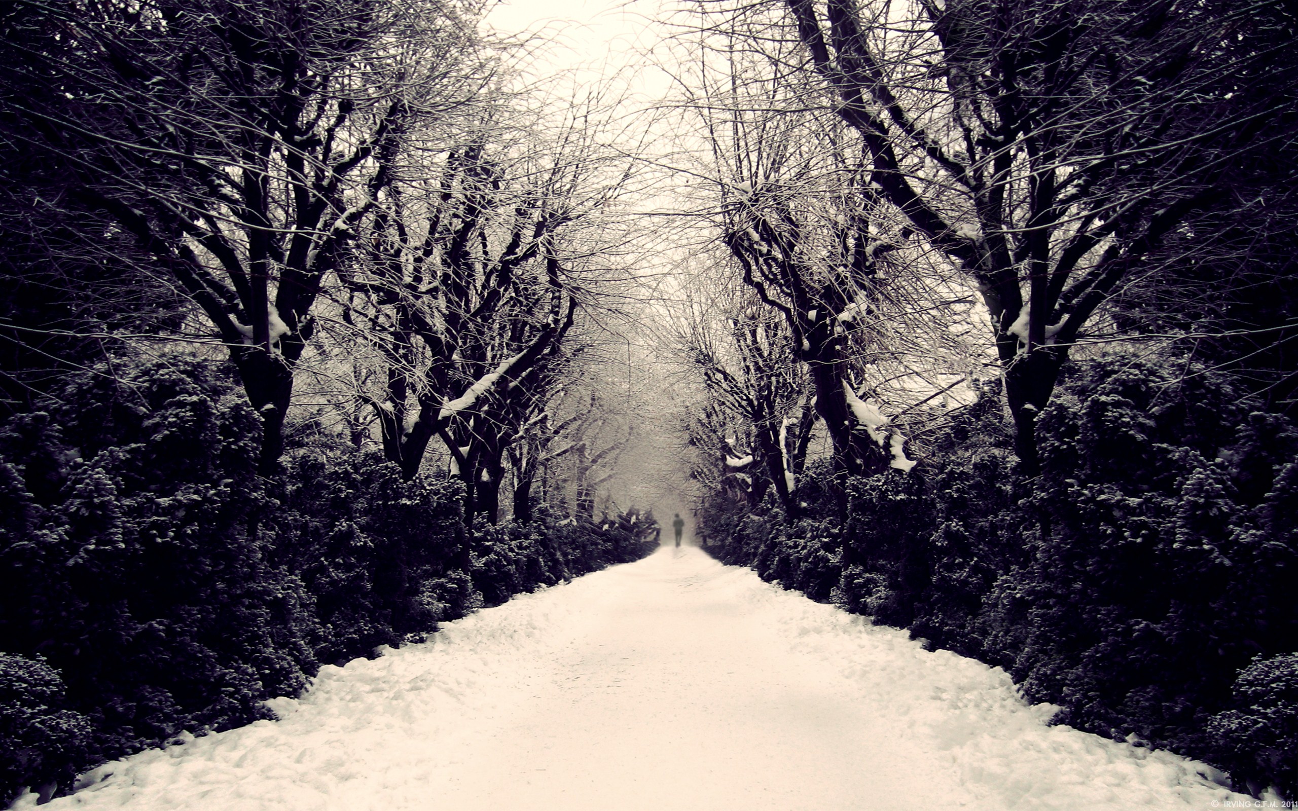 Winter Road desktop PC and Mac wallpaper