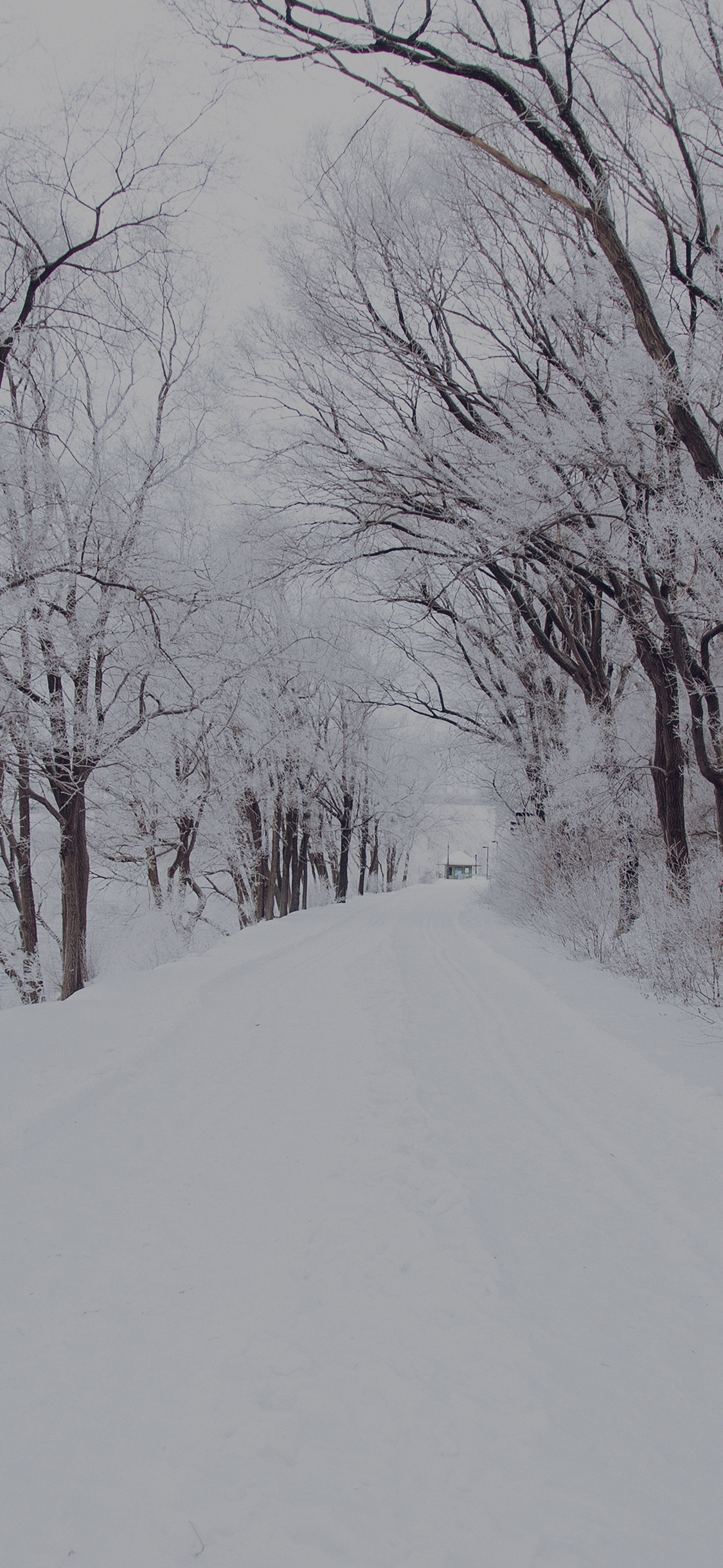 iPhone X wallpaper. winter road romantic nature mountain snow