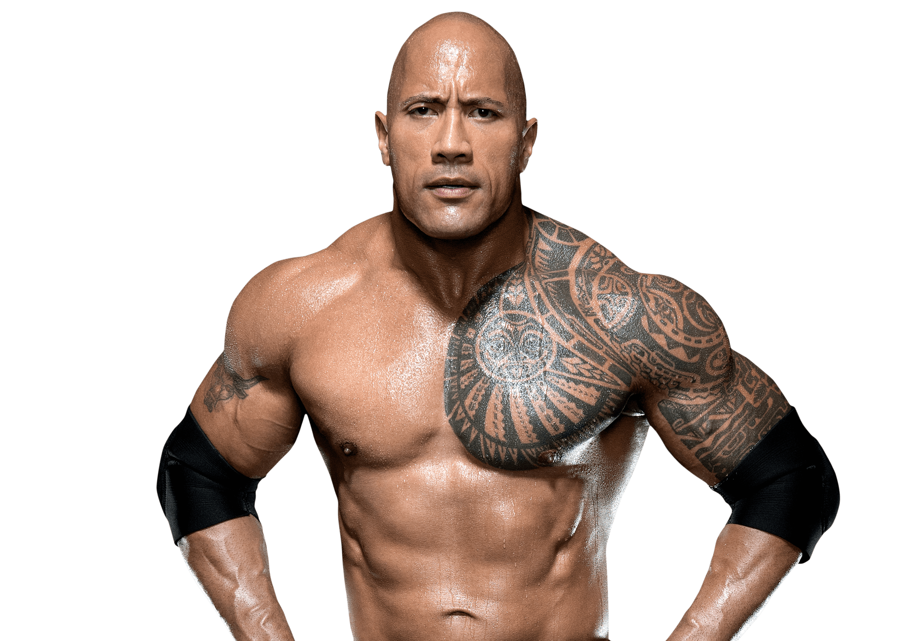 Tattoo uploaded by Joe • The Rock. You can see his awesome traditional  sleeve, but under that belt his the Brahma Bull's first ink. #WWE  #WWESuperstars #Wrestling #TheRock #samoan • Tattoodo