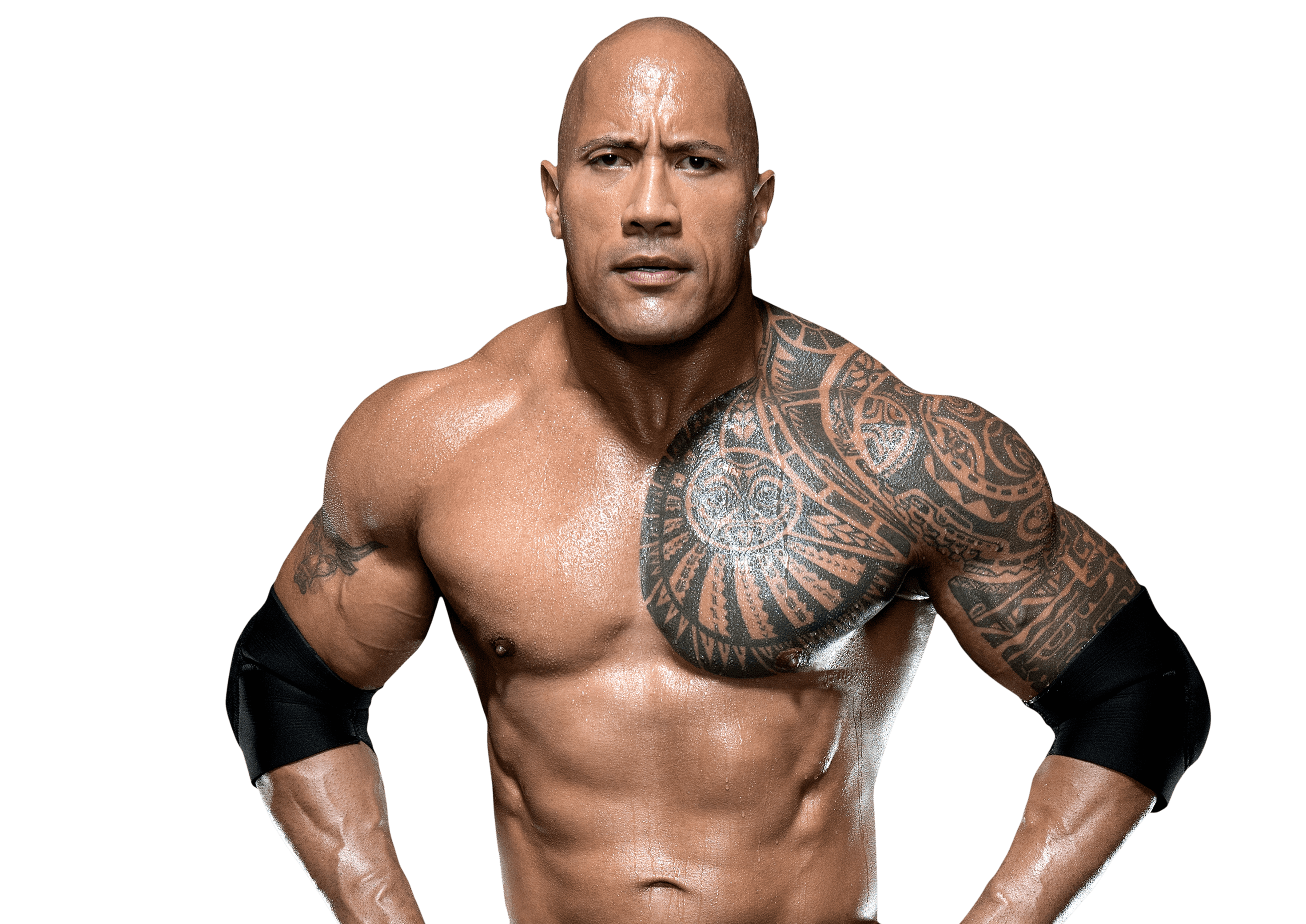 The Rock Tattoo Wallpapers Wallpaper Cave The Rock Tattoo Wallpapers Wallpaper Cave